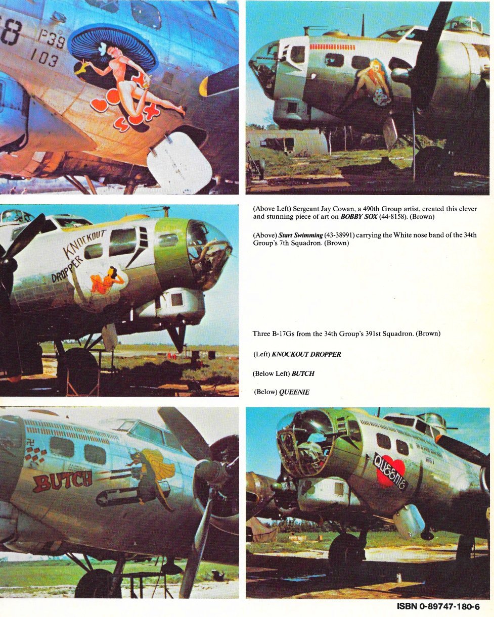 Fighting Colors: B-17 Flying Fortress in Color used book depot