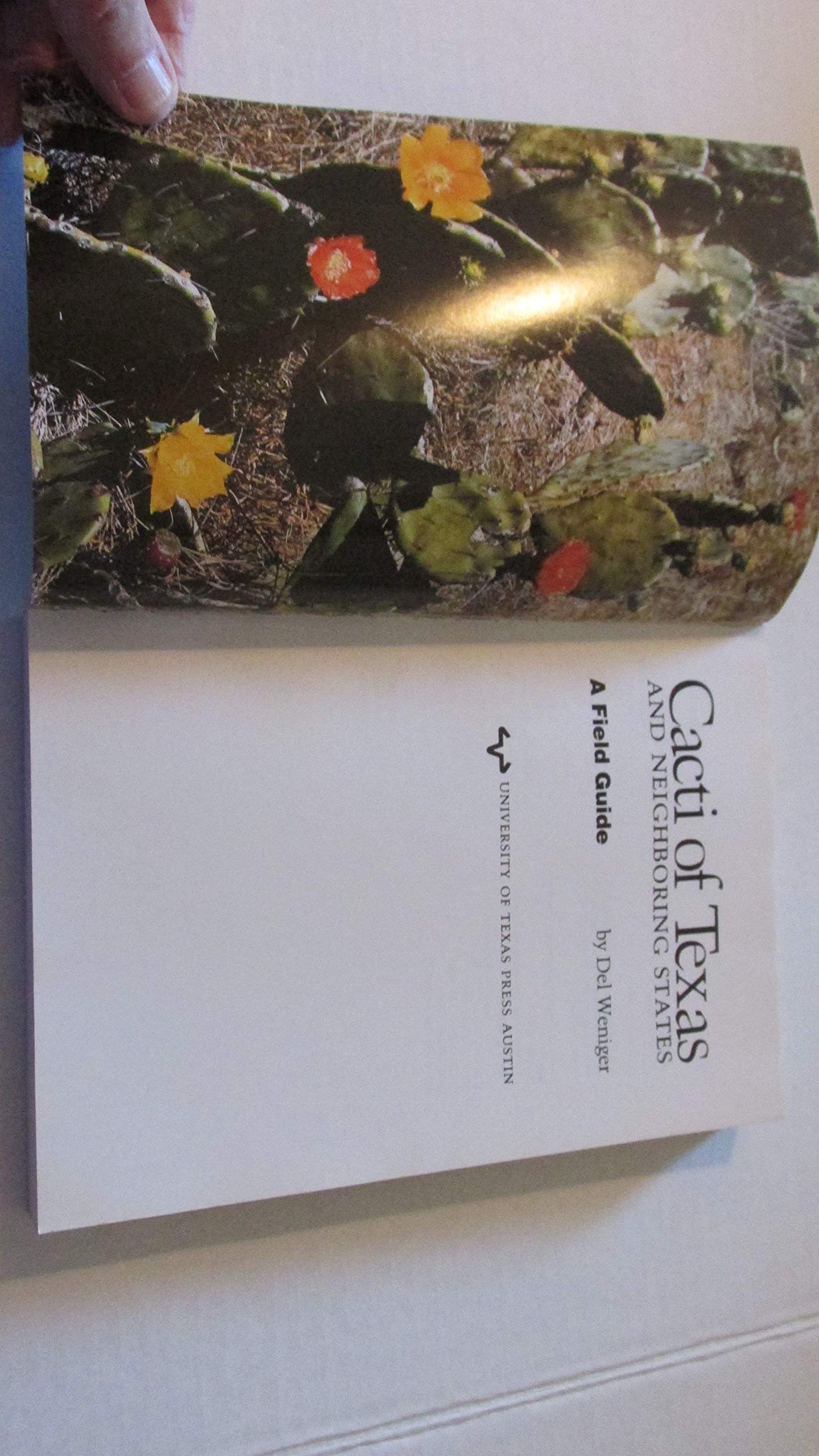 Cacti of Texas and Neighboring States: A Field Guide used book depot