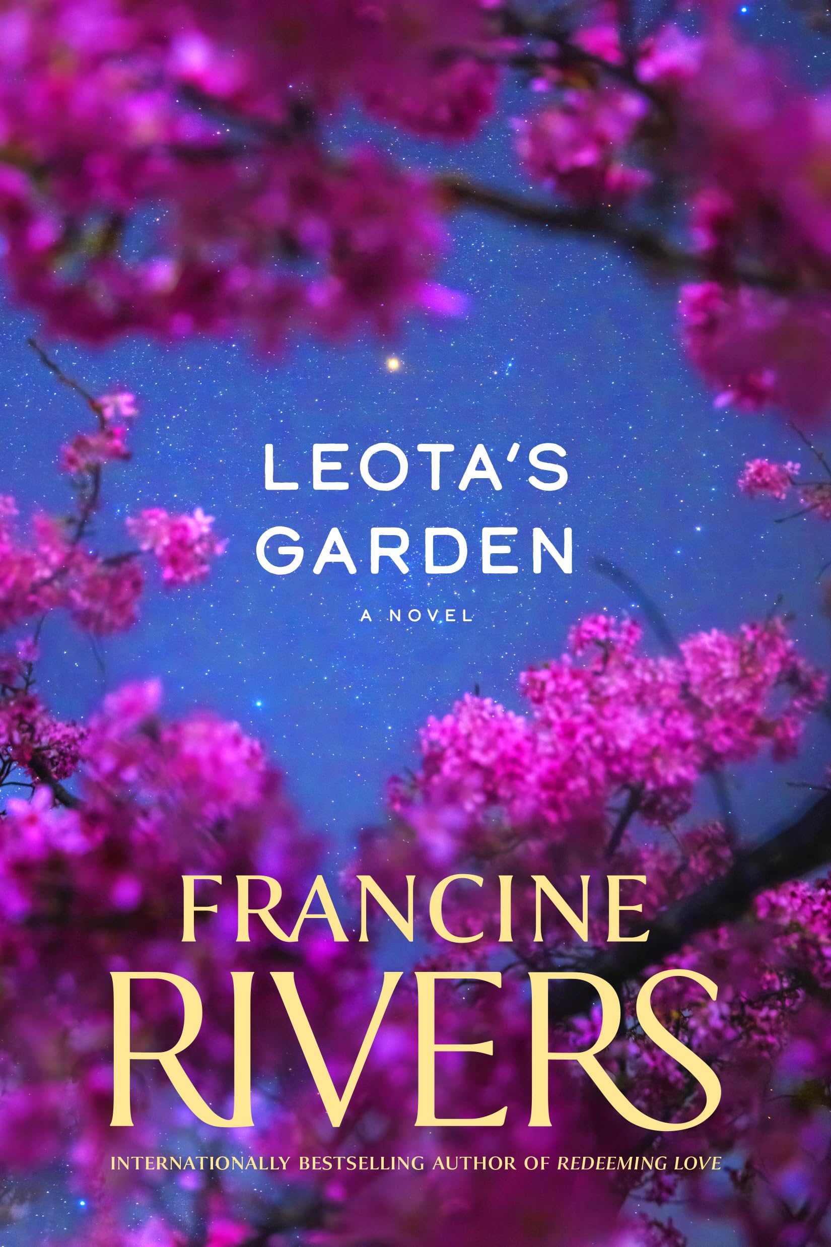 Leota's Garden: A Novel (A Contemporary Christian Fiction Story of Grace, Reconciliation, and Second Chances) used book depot