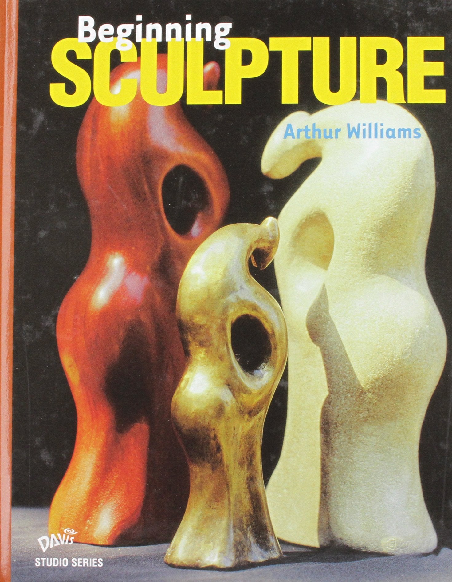 Beginning Sculpture used book depot