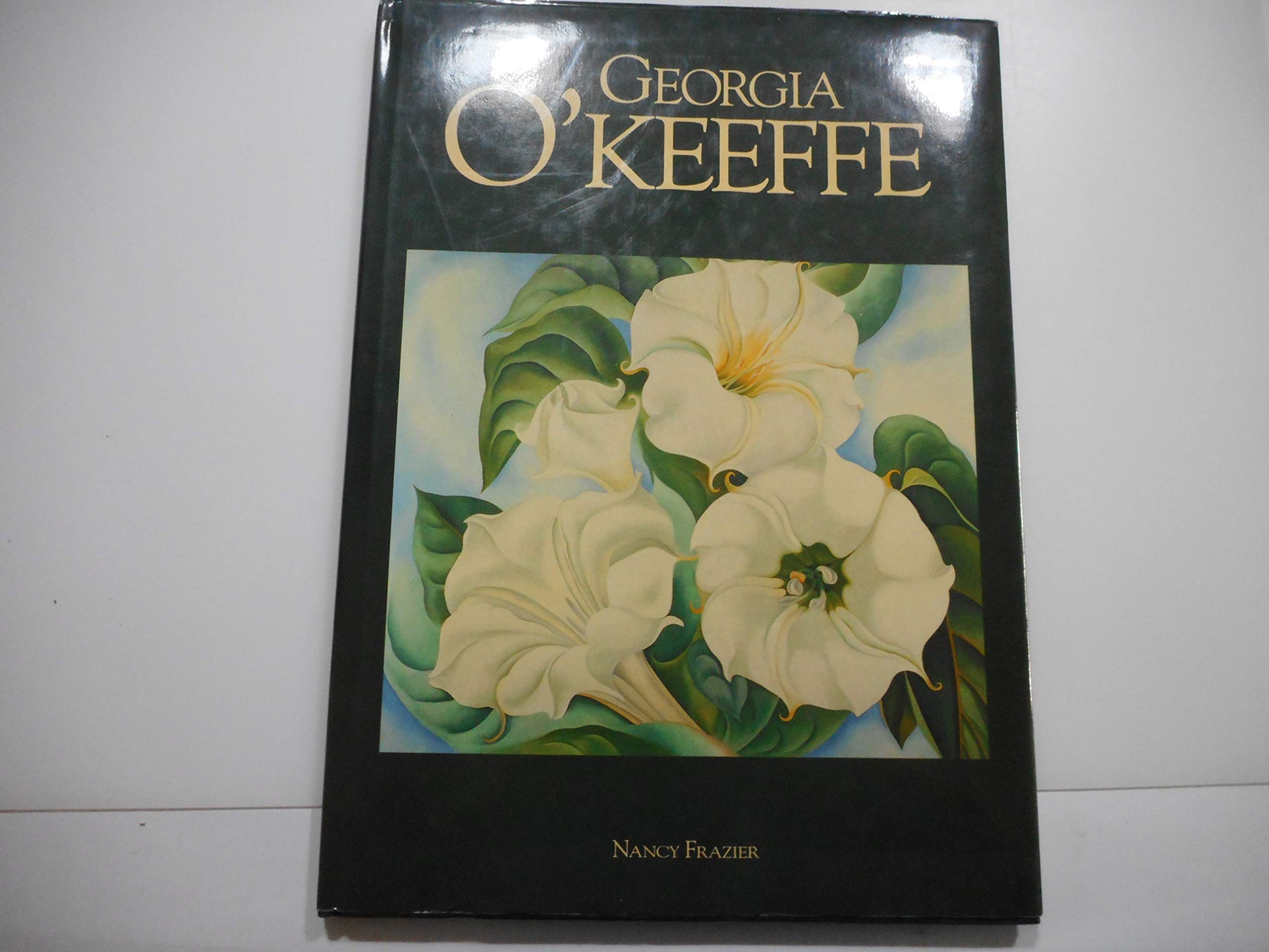 Georgia O'Keeffe: American Art Series used book depot