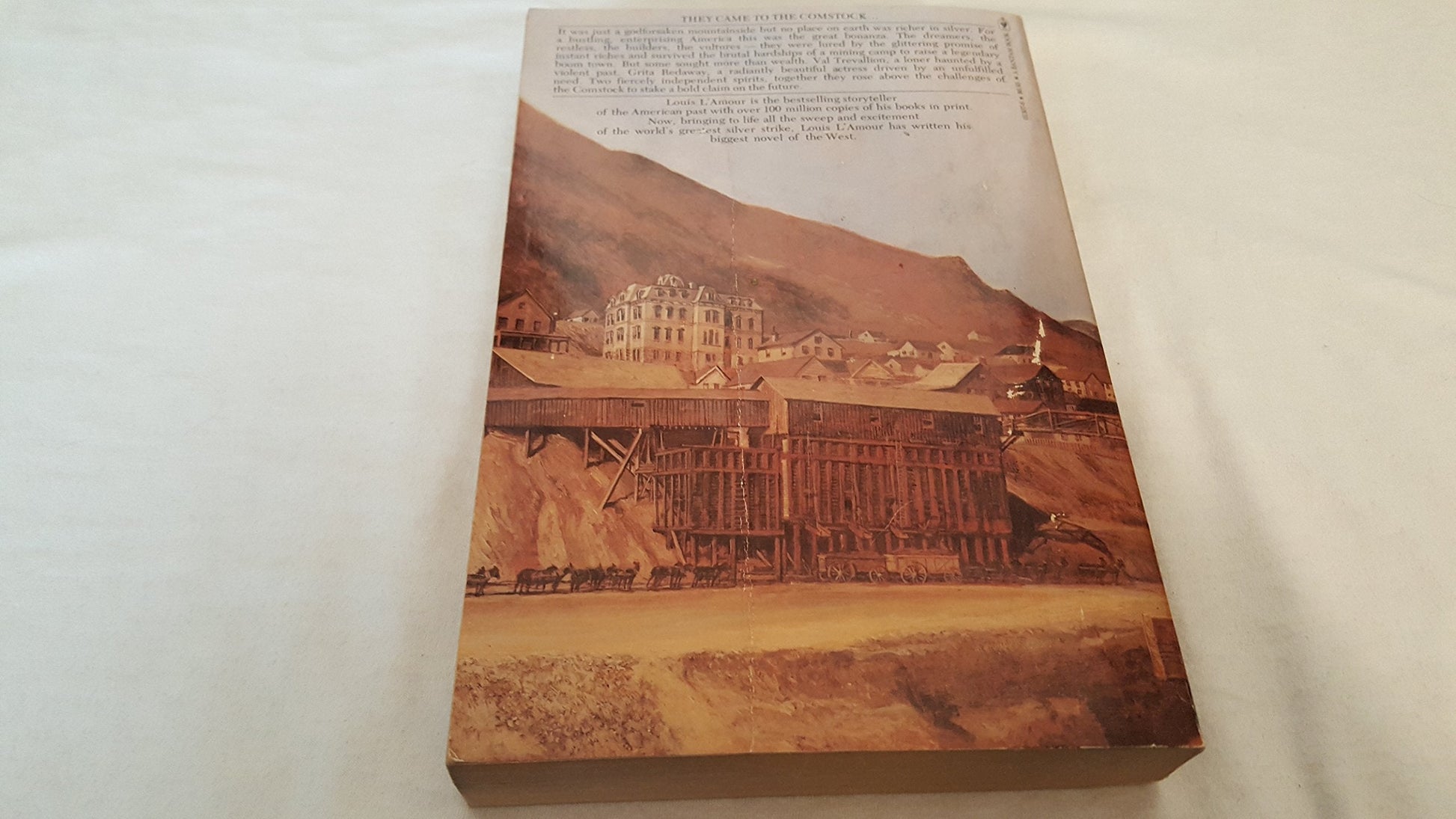 Comstock Lode used book depot