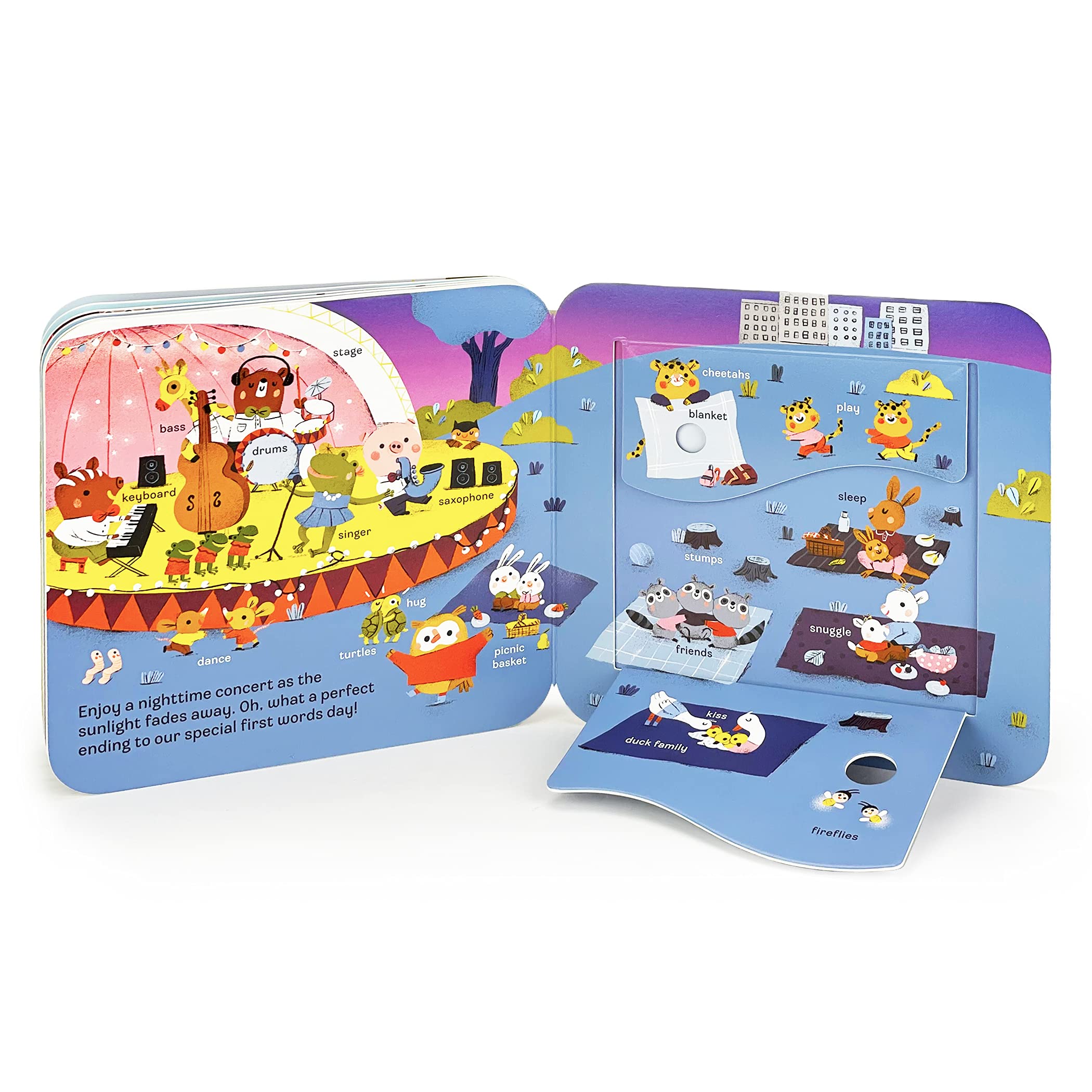 Peek-a-Flap Words Lift-a-Flap Board Book for Curious Minds and Little Learners; Ages 1-5 used book depot