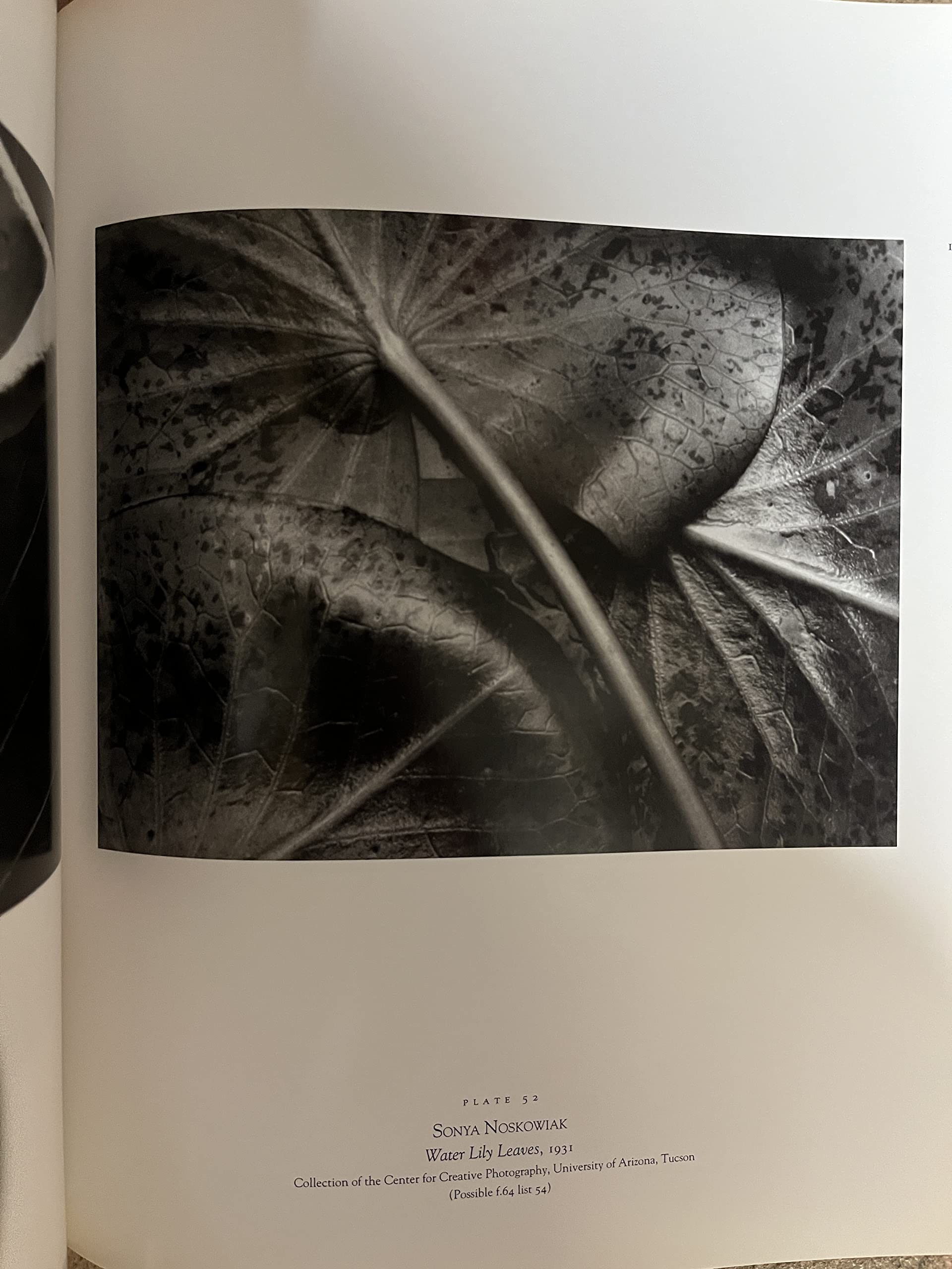 Seeing Straight: The F.64 Revolution in Photography used book depot