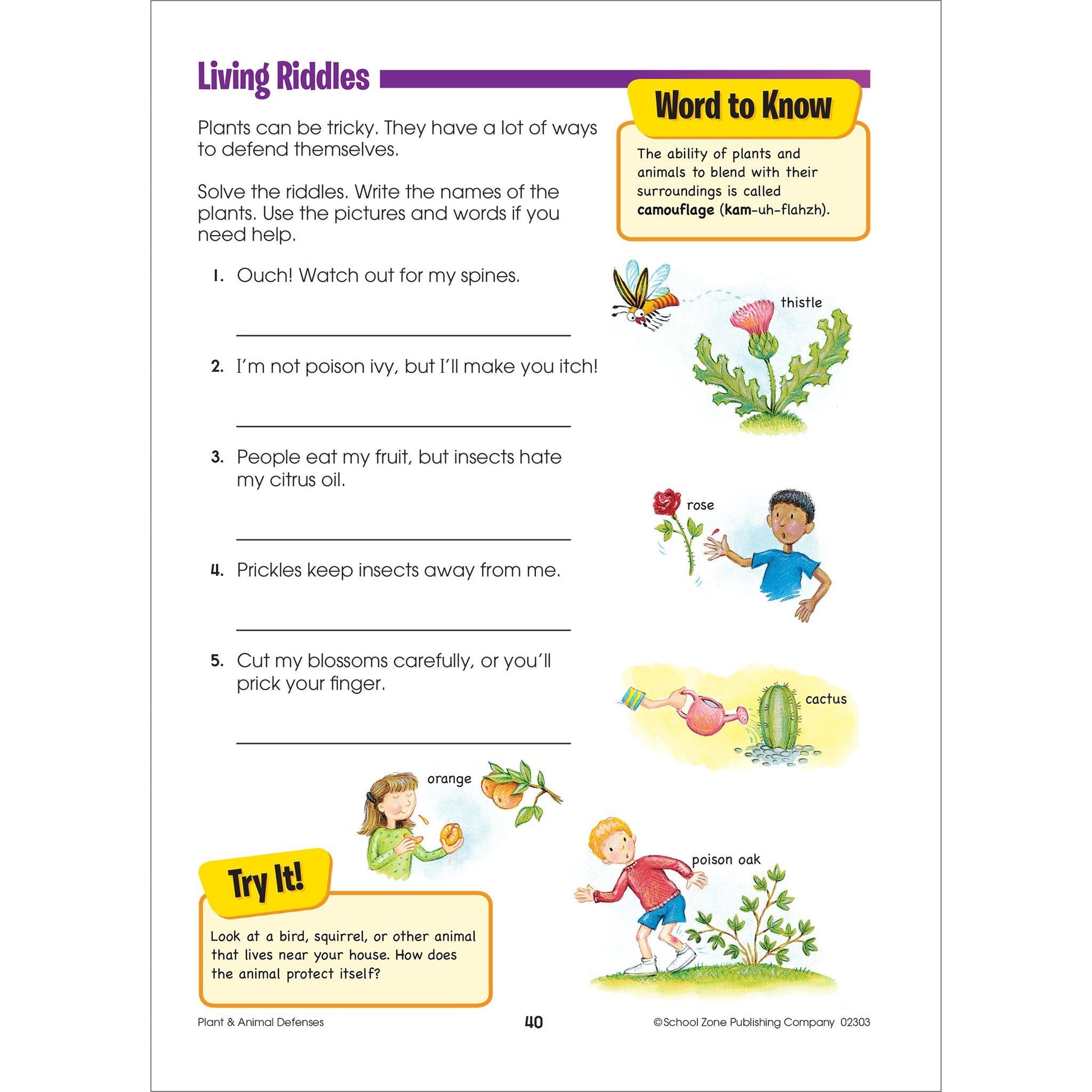 School Zone Second Grade Scholar Workbook: 64 Pages, 2nd Grade, Language Arts, Math, Science, Coin Values, Telling Time, Critical Thinking, Ages 7 to 8 used book depot
