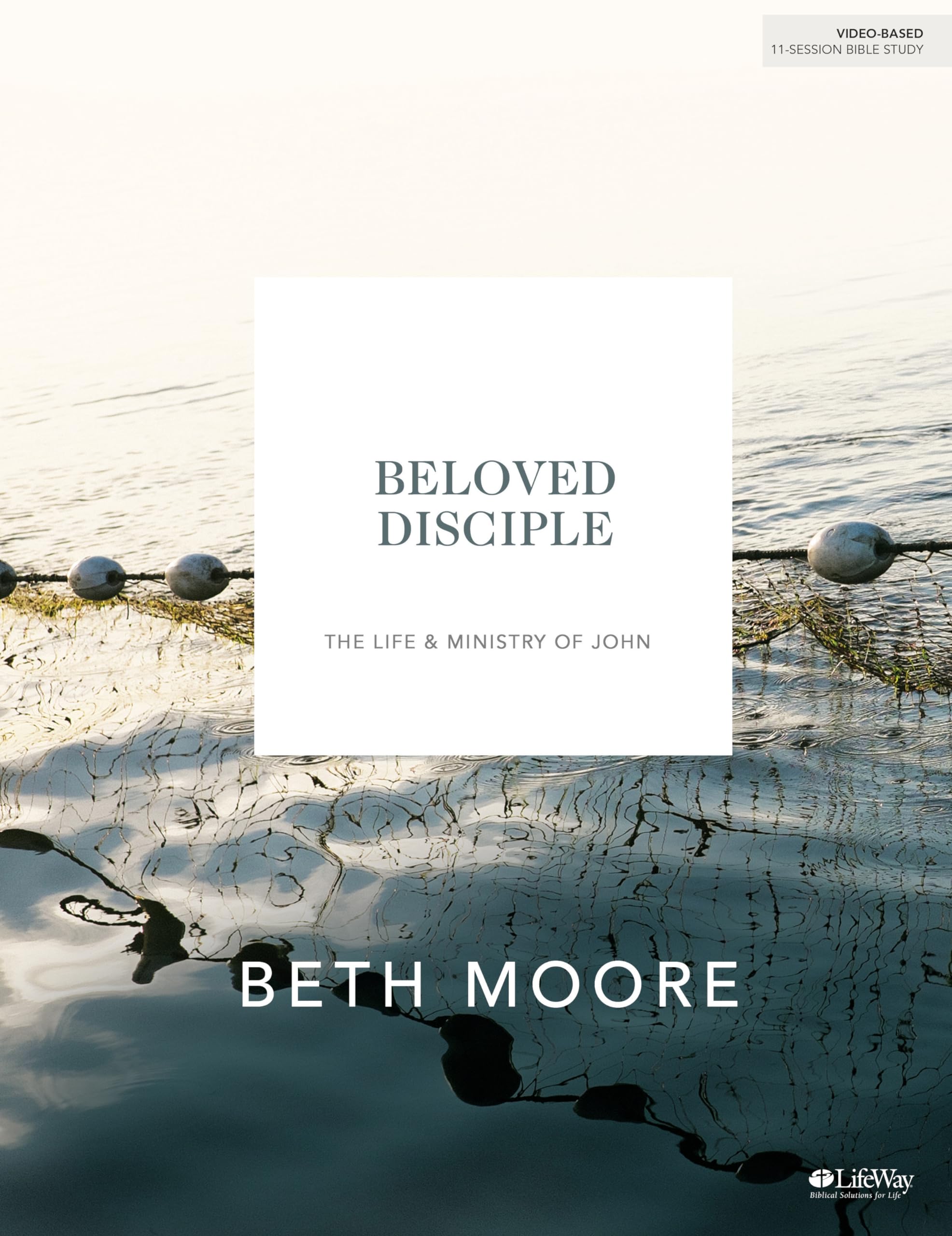 Beloved Disciple - Bible Study Book (New Look): The Life and Ministry of John used book depot
