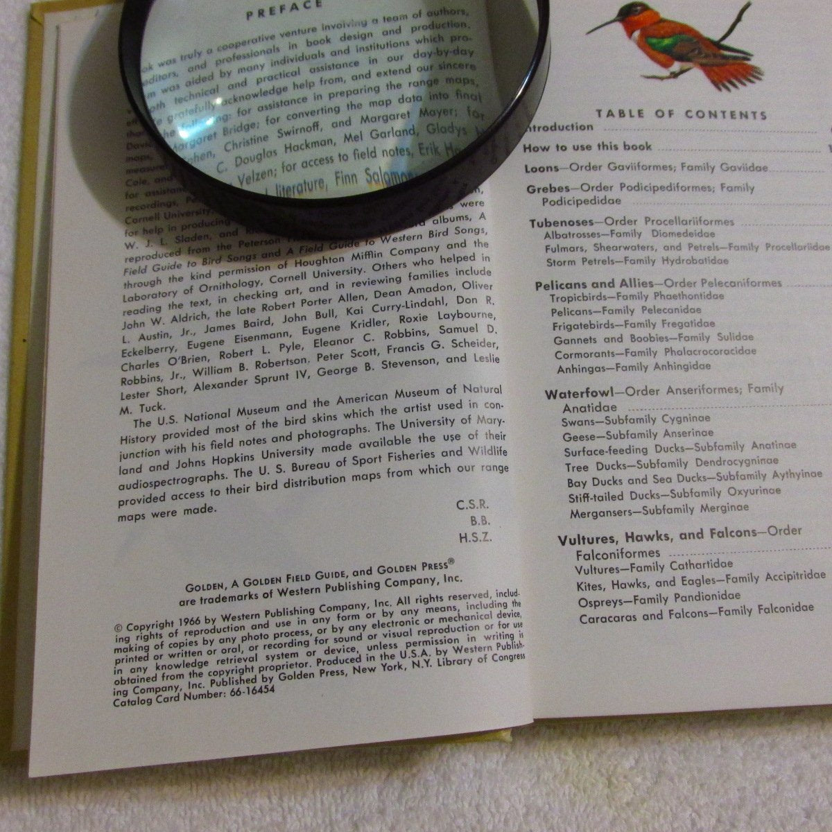 Birds of North America: A Guide to Field Identification used book depot