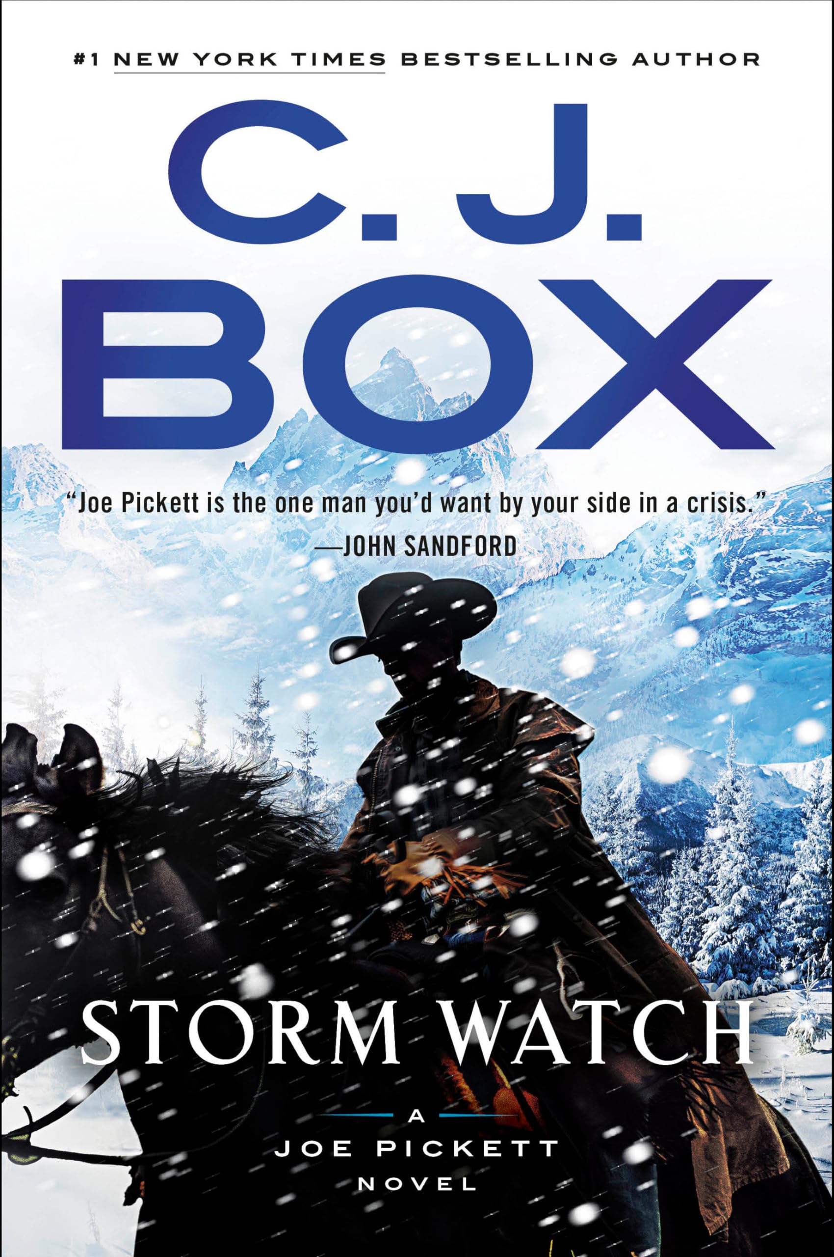 Storm Watch (A Joe Pickett Novel) used book depot
