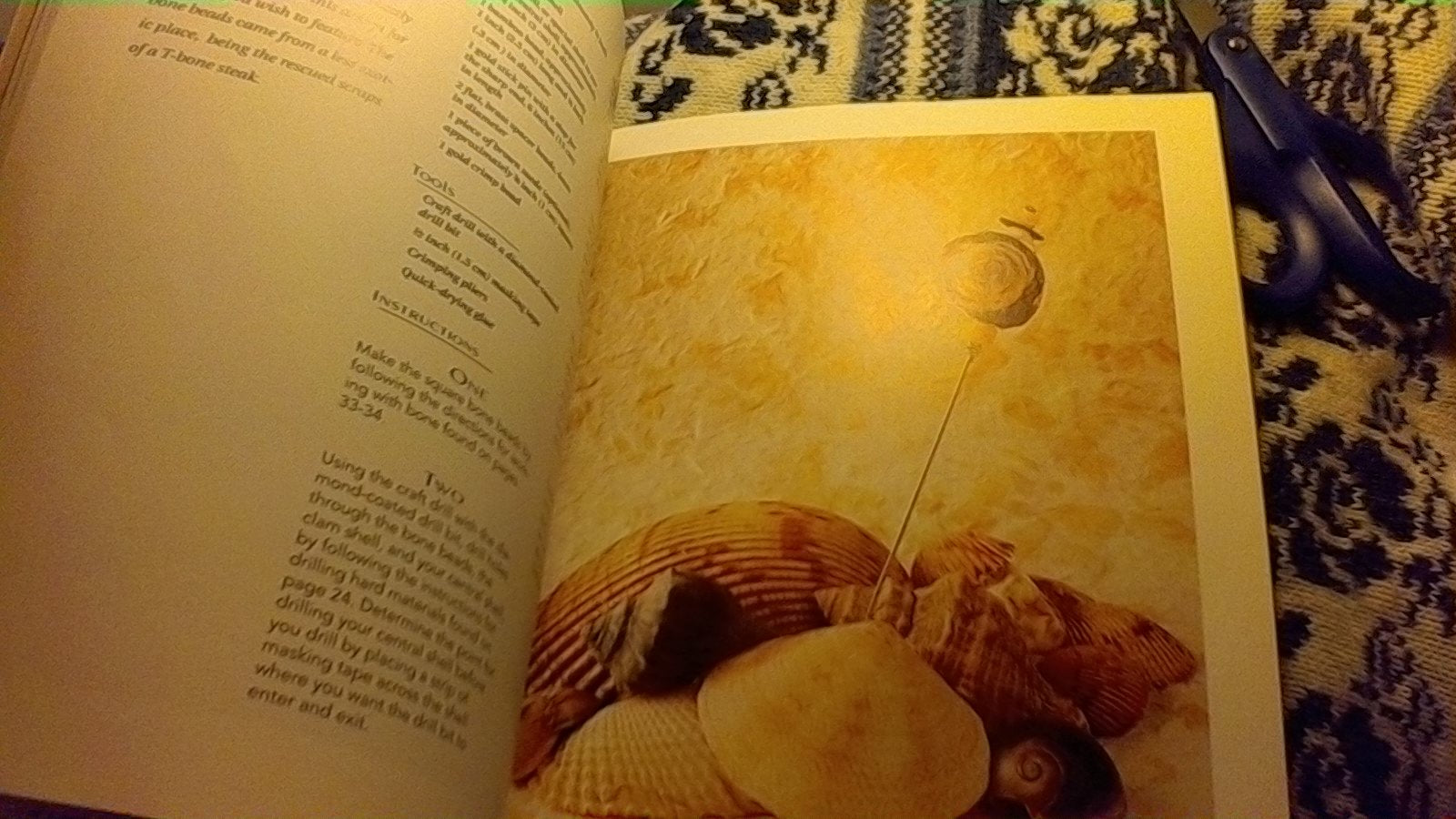 Jewelry From Nature: 45 Great Projects Using Sticks & Stones, Seeds & Bones used book depot