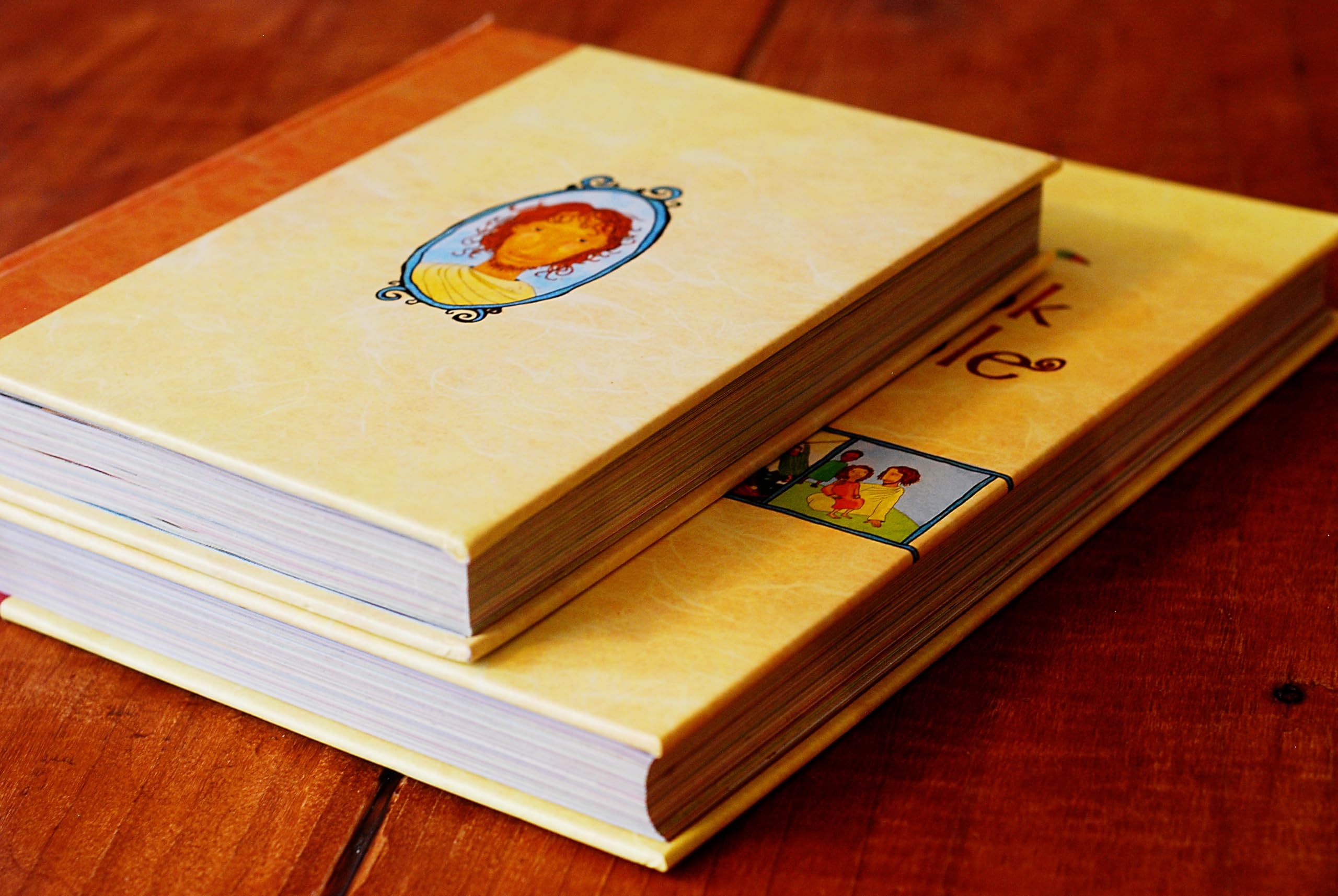 The Jesus Storybook Bible, Read-Aloud Edition: Every Story Whispers His Name used book depot