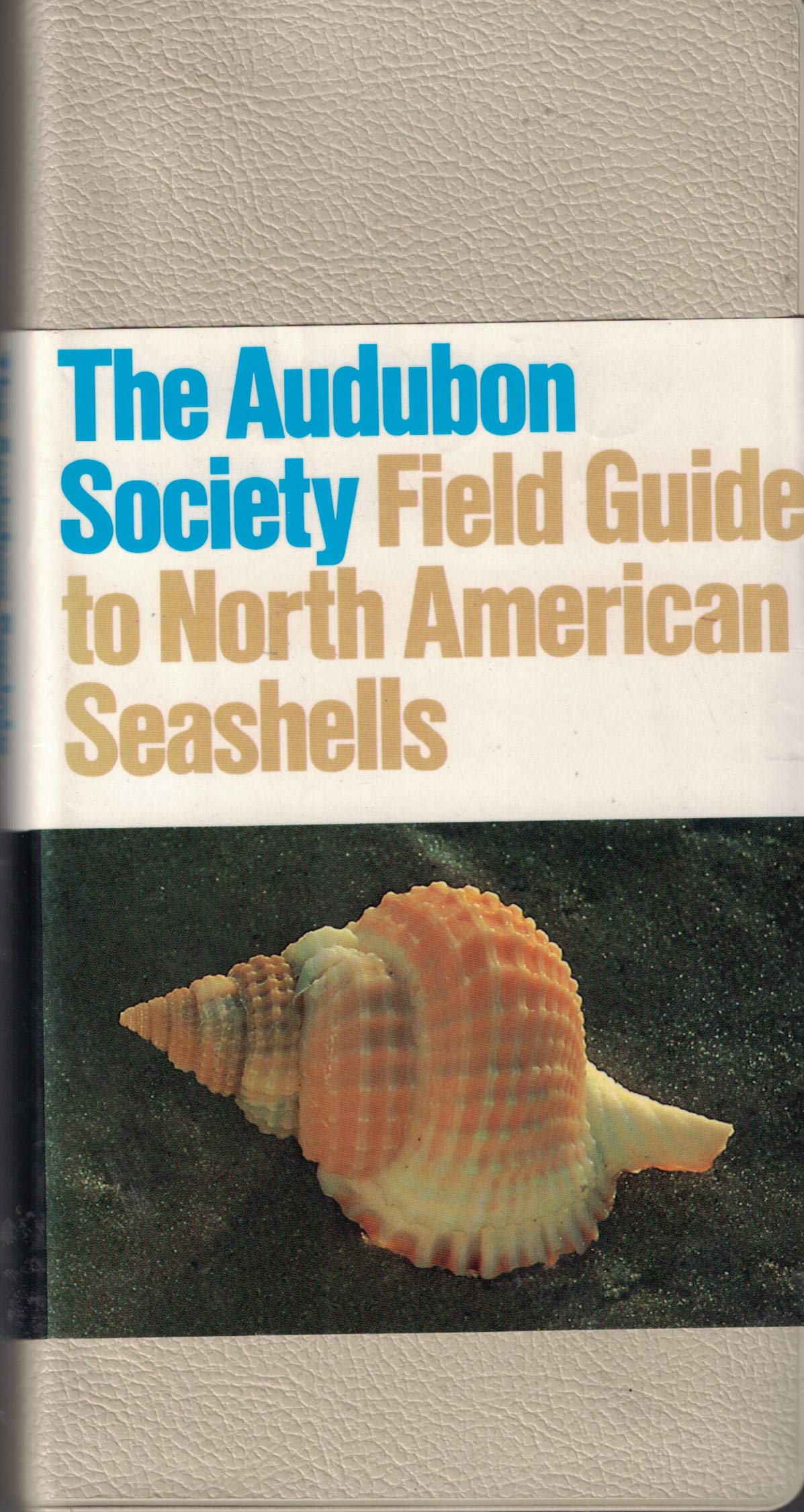 The Audubon Society Field Guide to North American Seashells used book depot