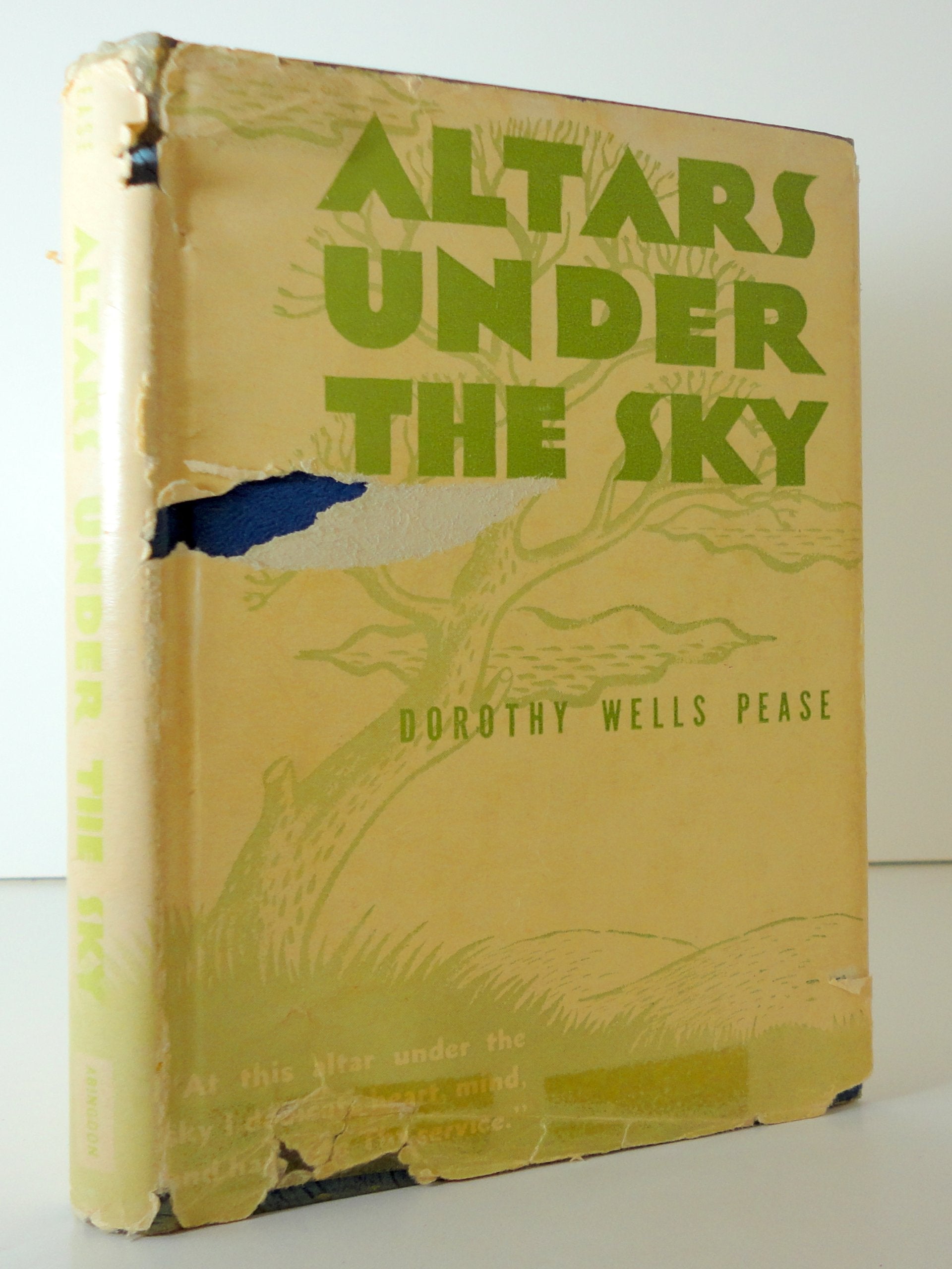 Altars under the Sky used book depot