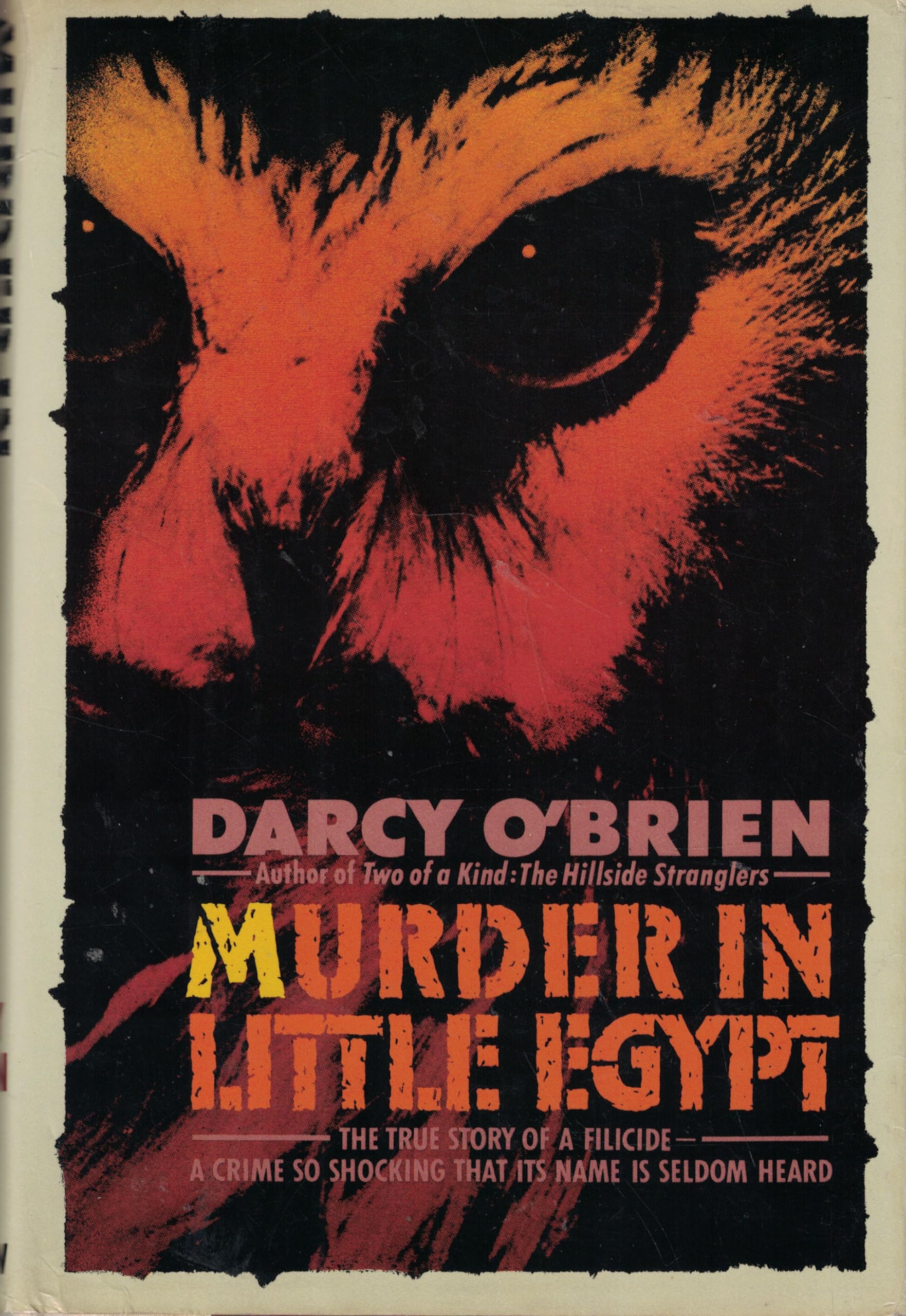 Murder in Little Egypt used book depot