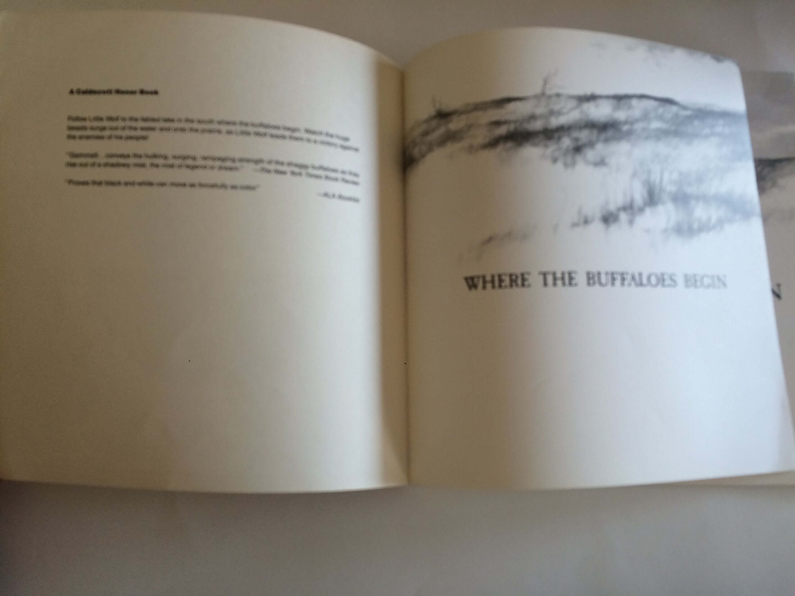 Where the Buffaloes Begin used book depot