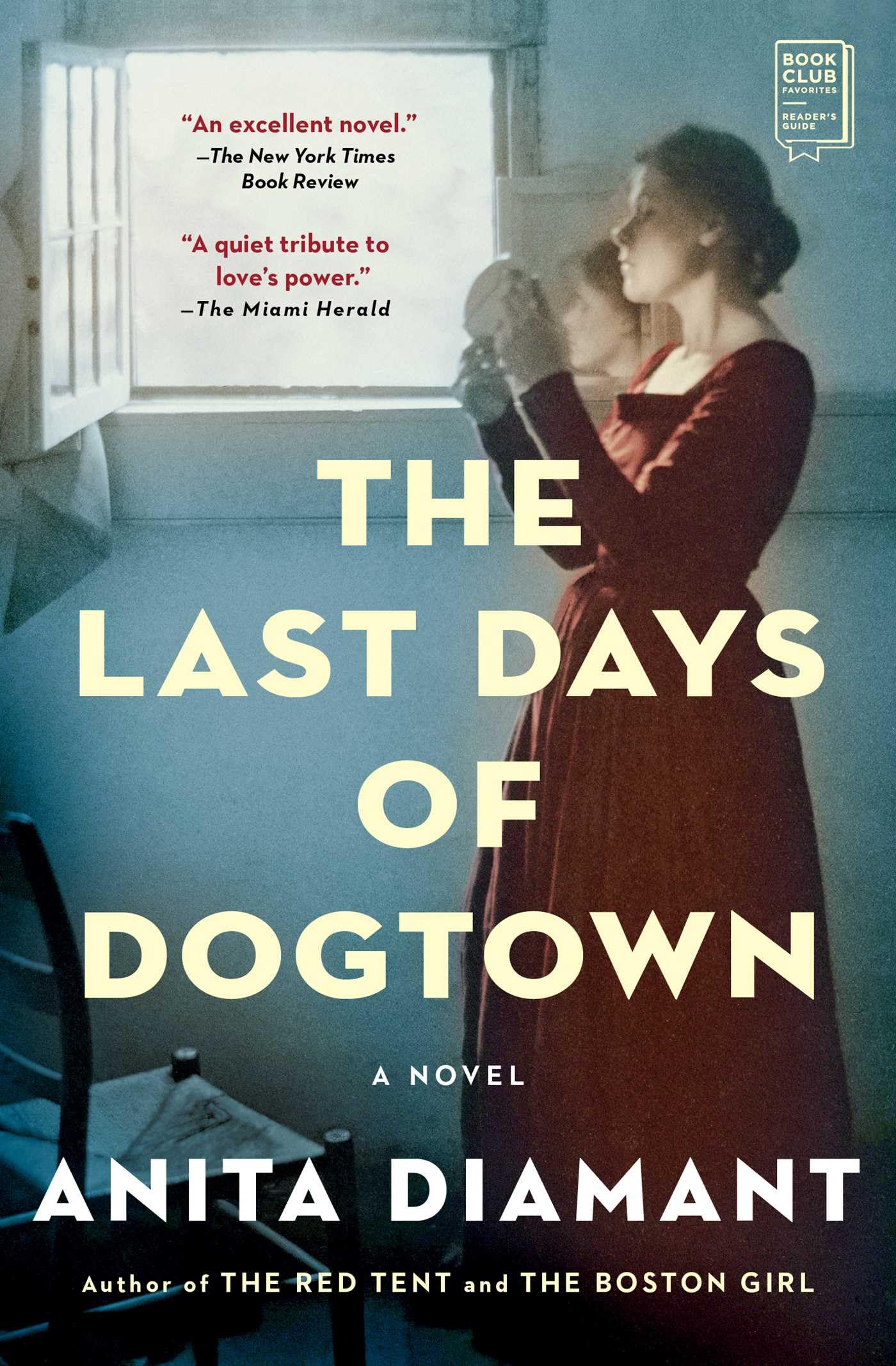 The Last Days of Dogtown: A Novel used book depot