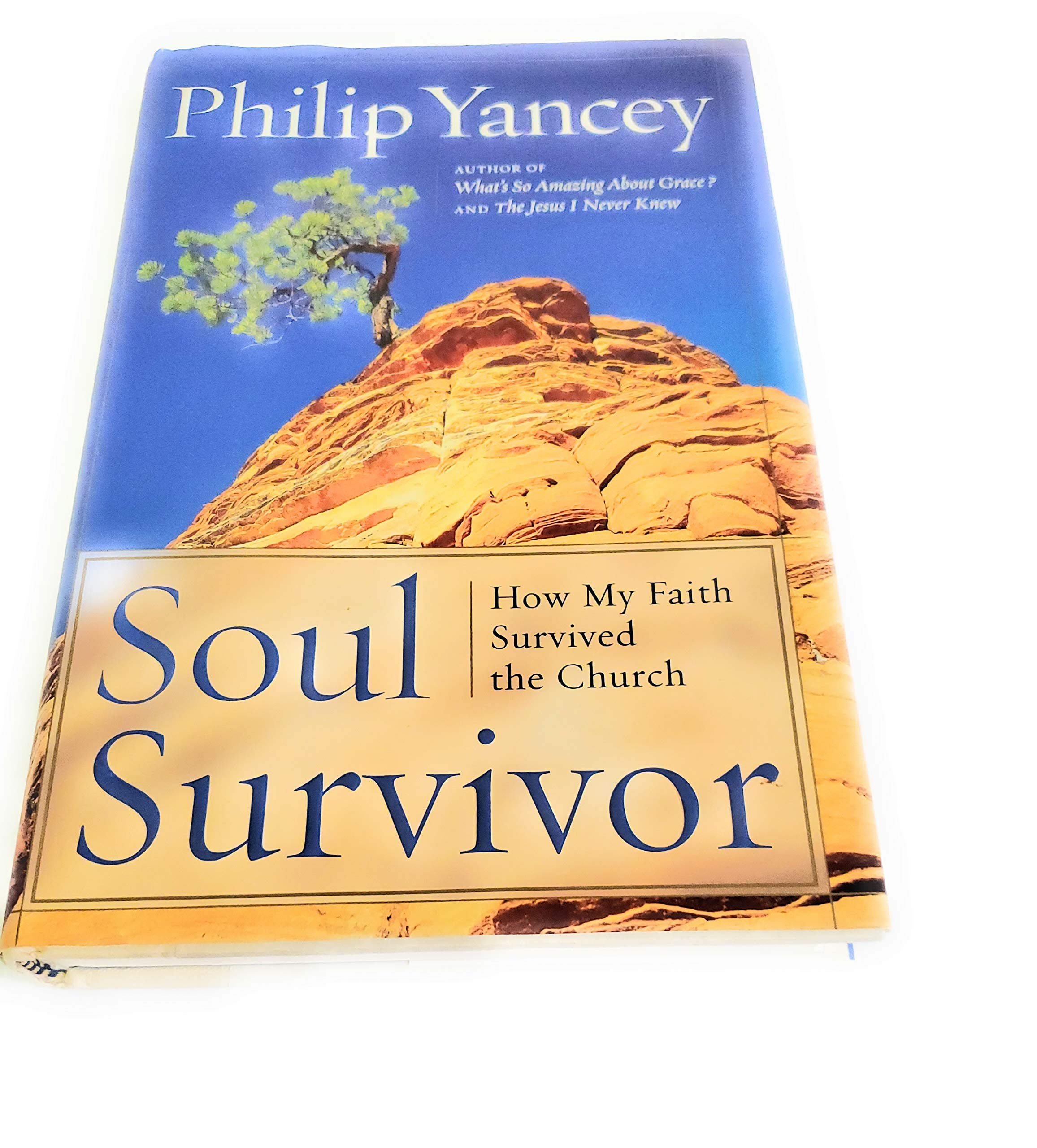 Soul Survivor: Why I am Still a Christian used book depot