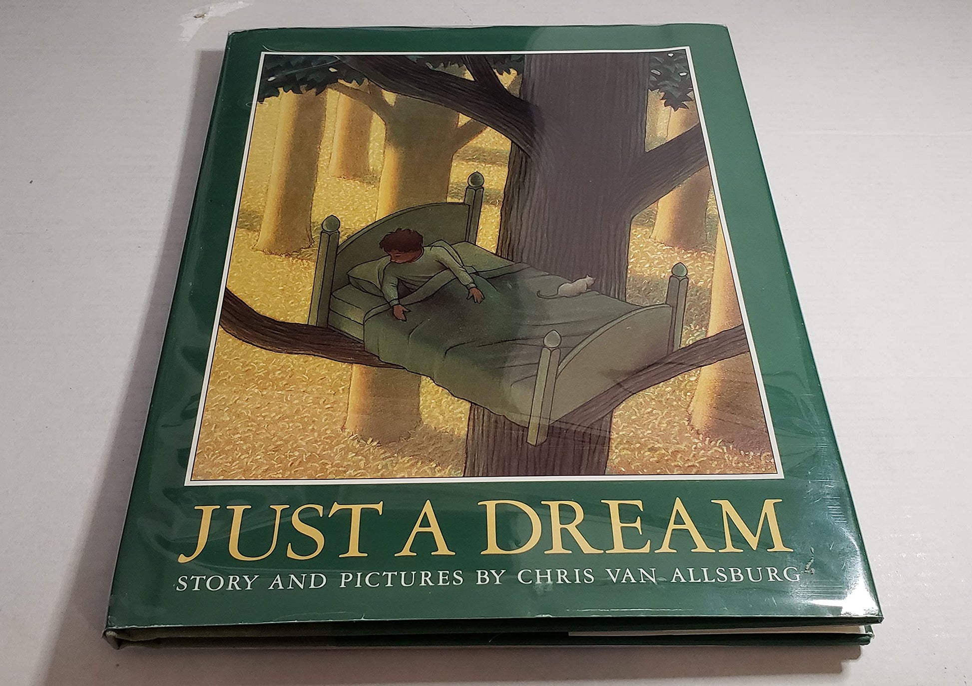 Just a Dream used book depot