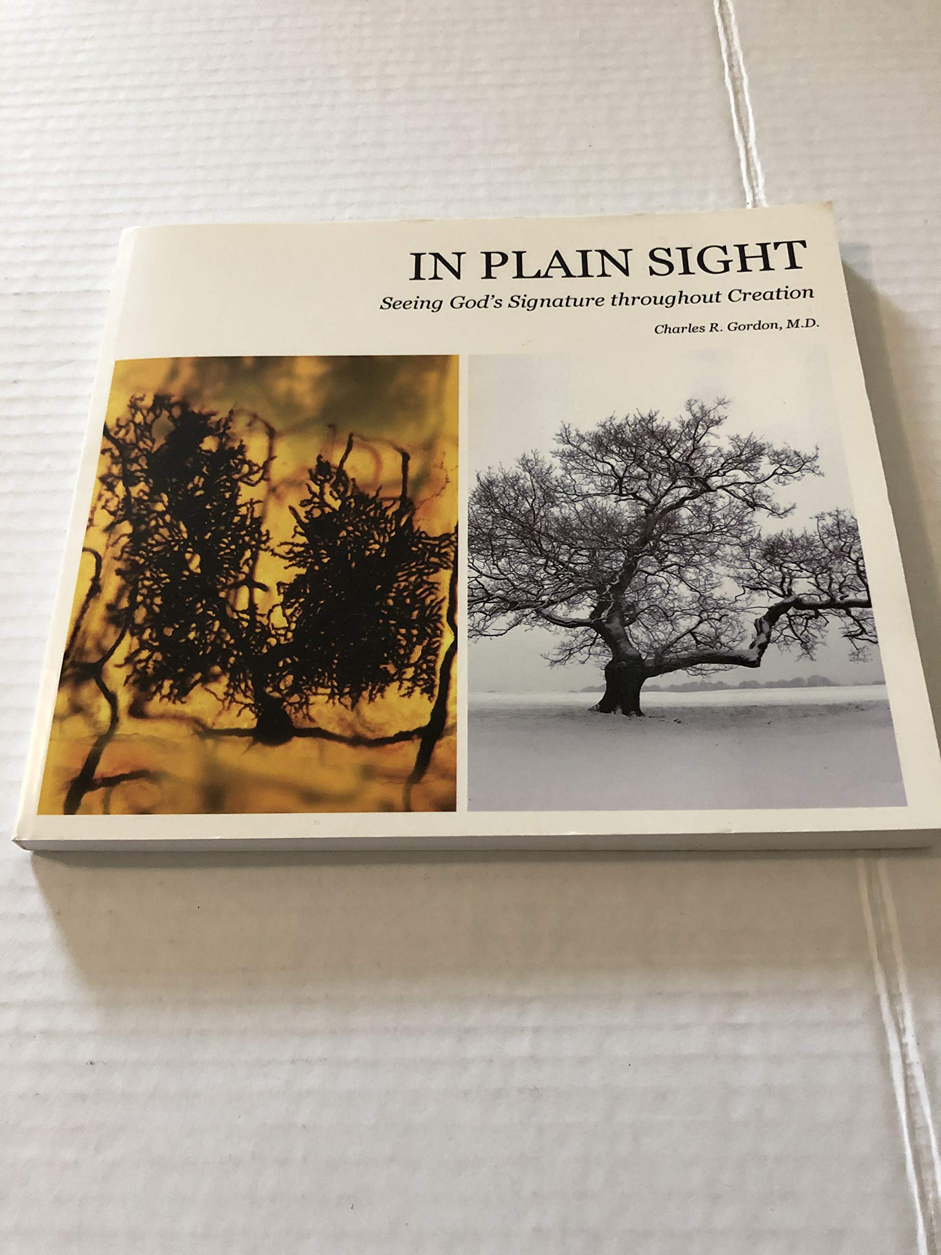 In Plain Sight: Seeing God's Signature throughout Creation