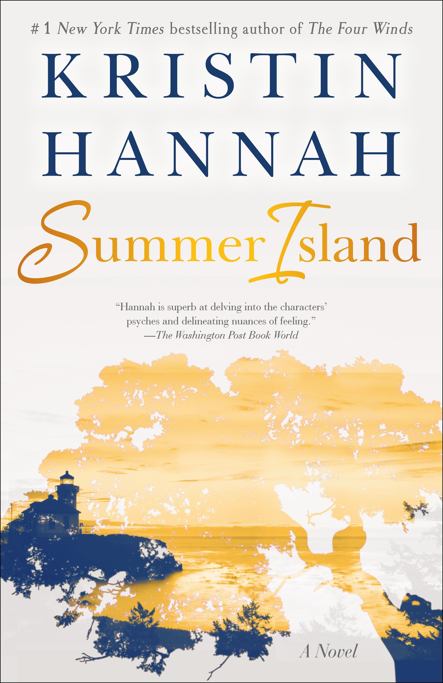 Summer Island: A Novel used book depot