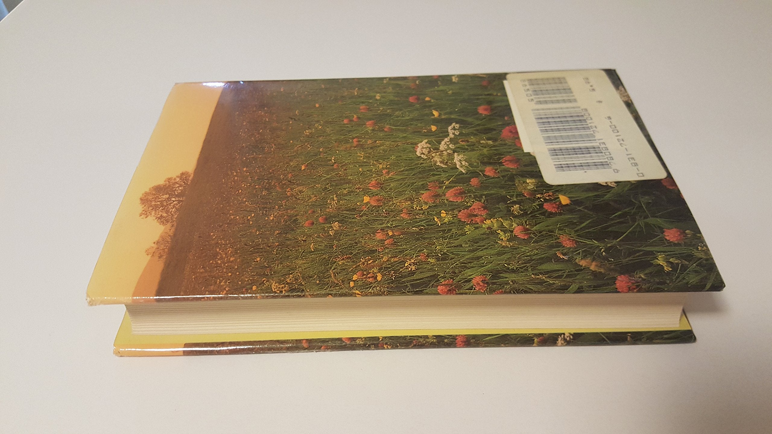 Daily Strength for Daily Needs used book depot