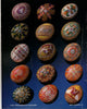 Ukrainian Design Book I