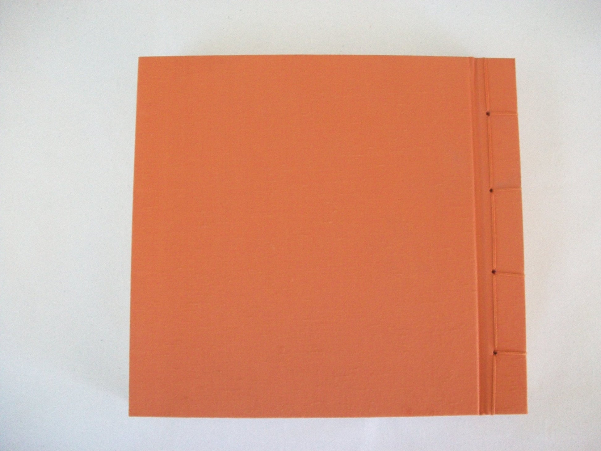 Takarabukuro (Treasure Bag): A Netsuke Artist's Notebook used book depot