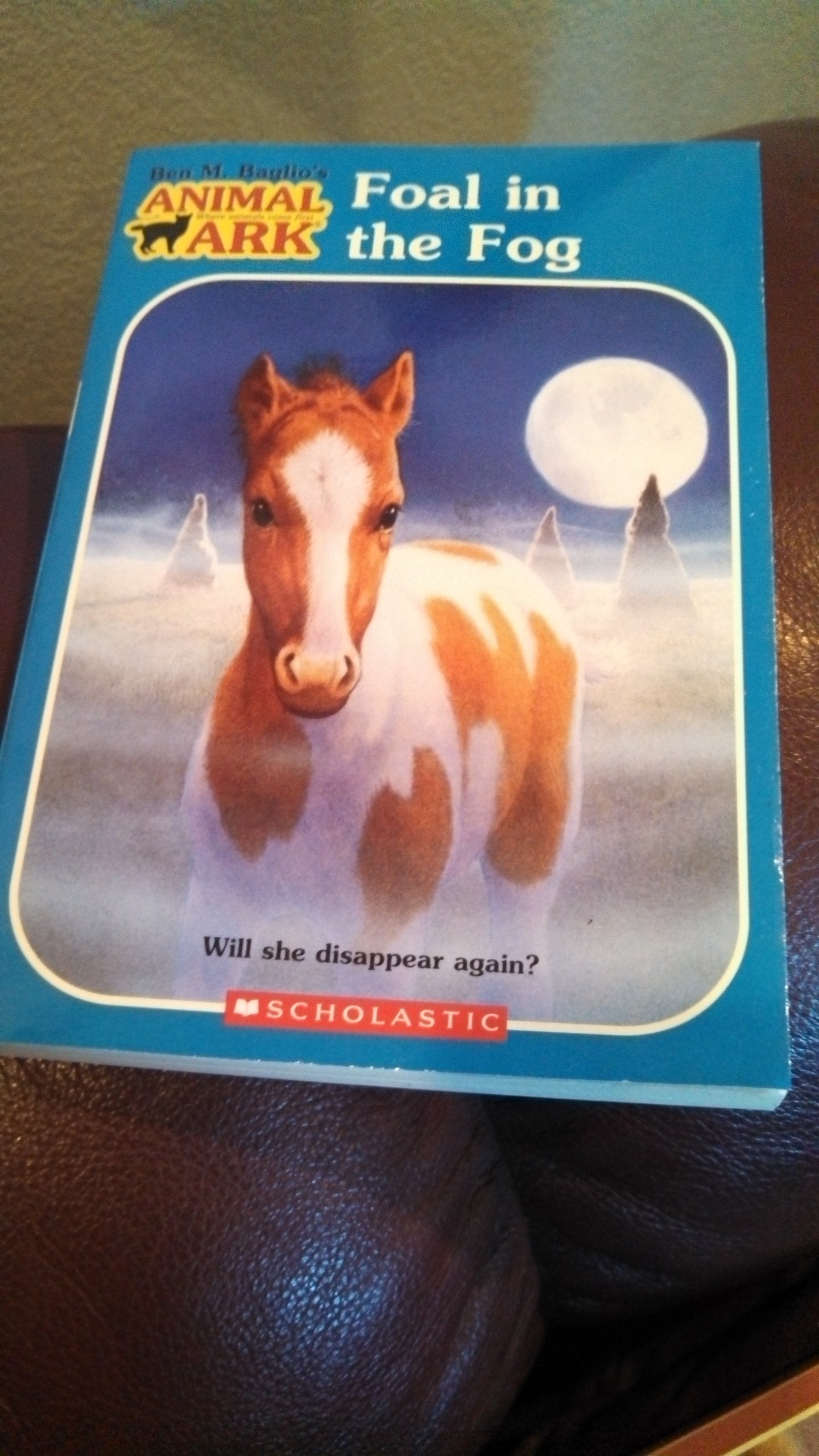 Foal in the Fog (Animal Ark Hauntings #5) used book depot