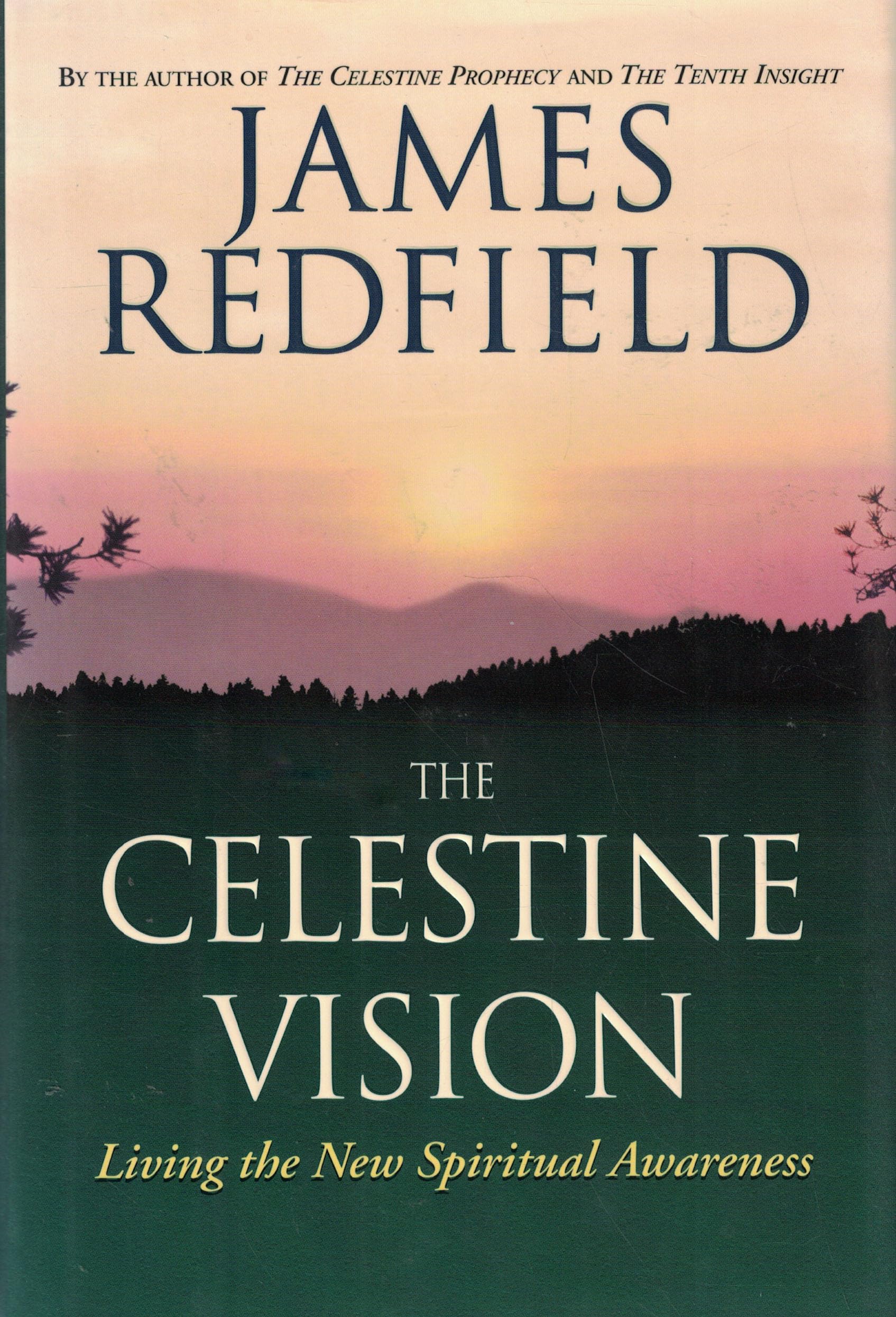 The Celestine Vision: Living the New Spiritual Awareness used book depot
