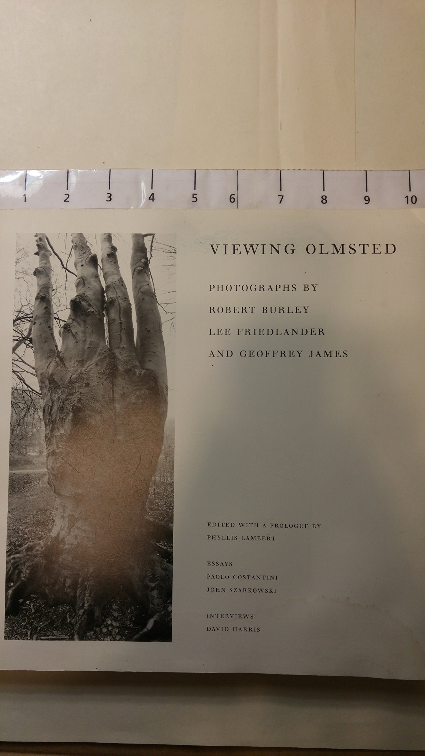 Viewing Olmsted used book depot