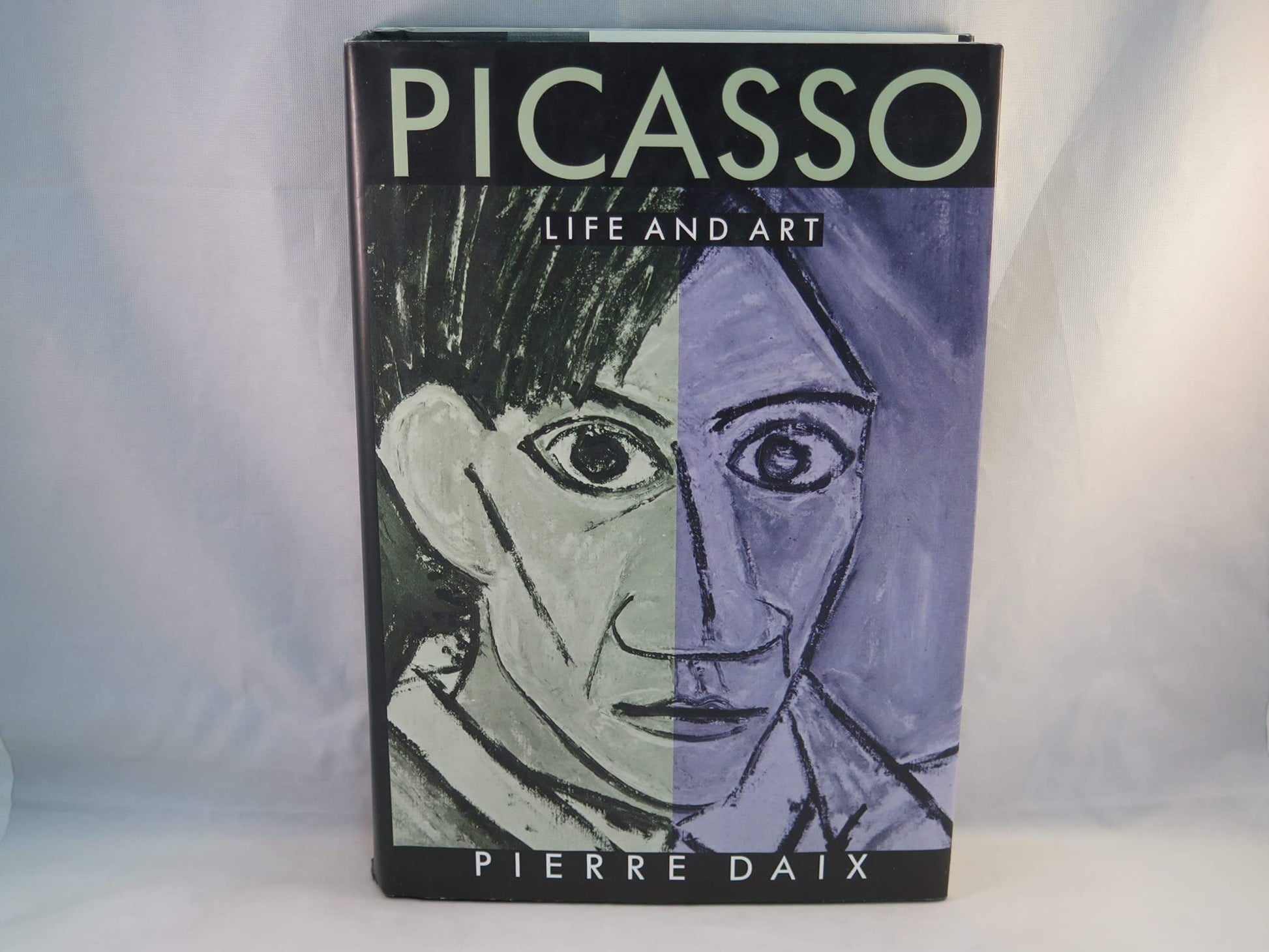Picasso: Life And Art used book depot