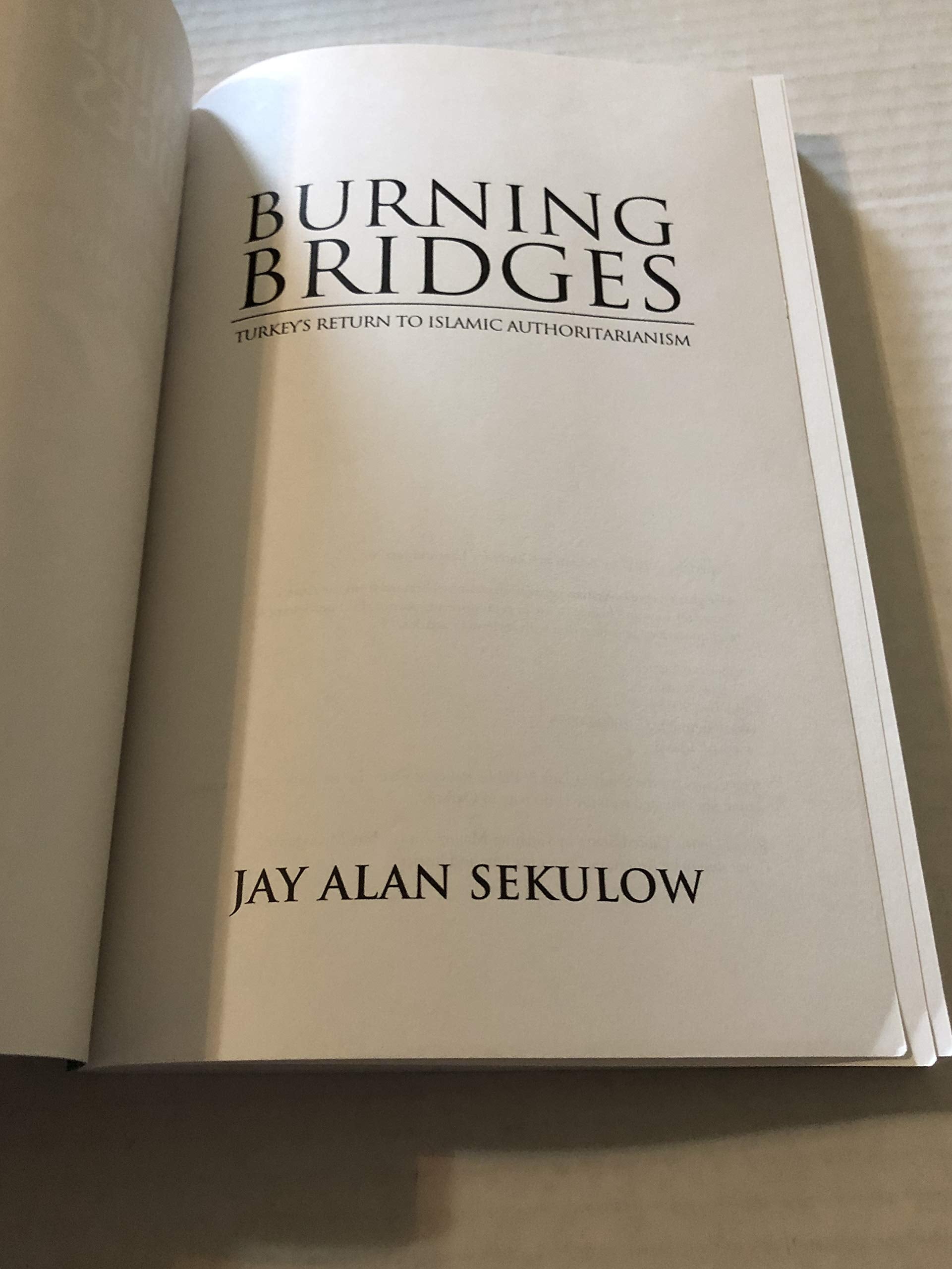 Burning Bridges: Turkey's Return to Islamic Authoritarianism 2017 used book depot