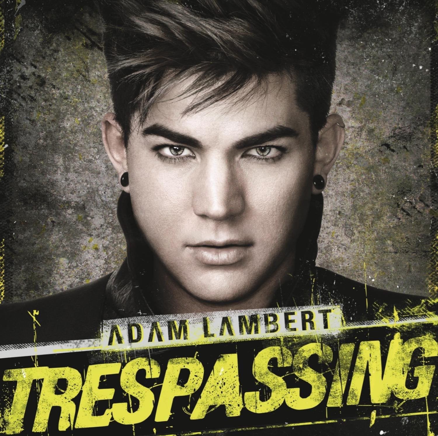 Trespassing (Deluxe Version) used book depot