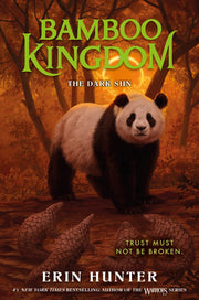 Bamboo Kingdom #4: The Dark Sun used book depot