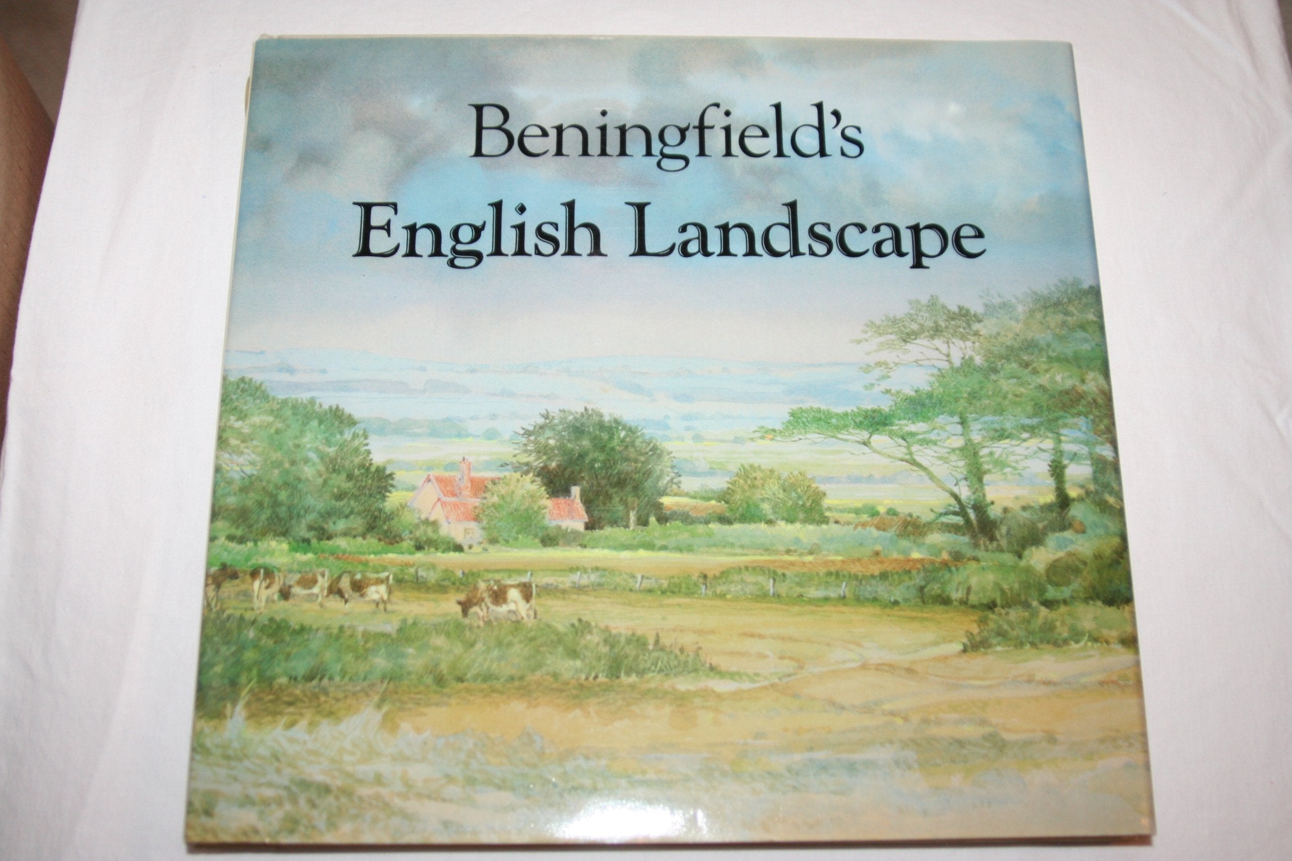Beningfield's English Landscape used book depot