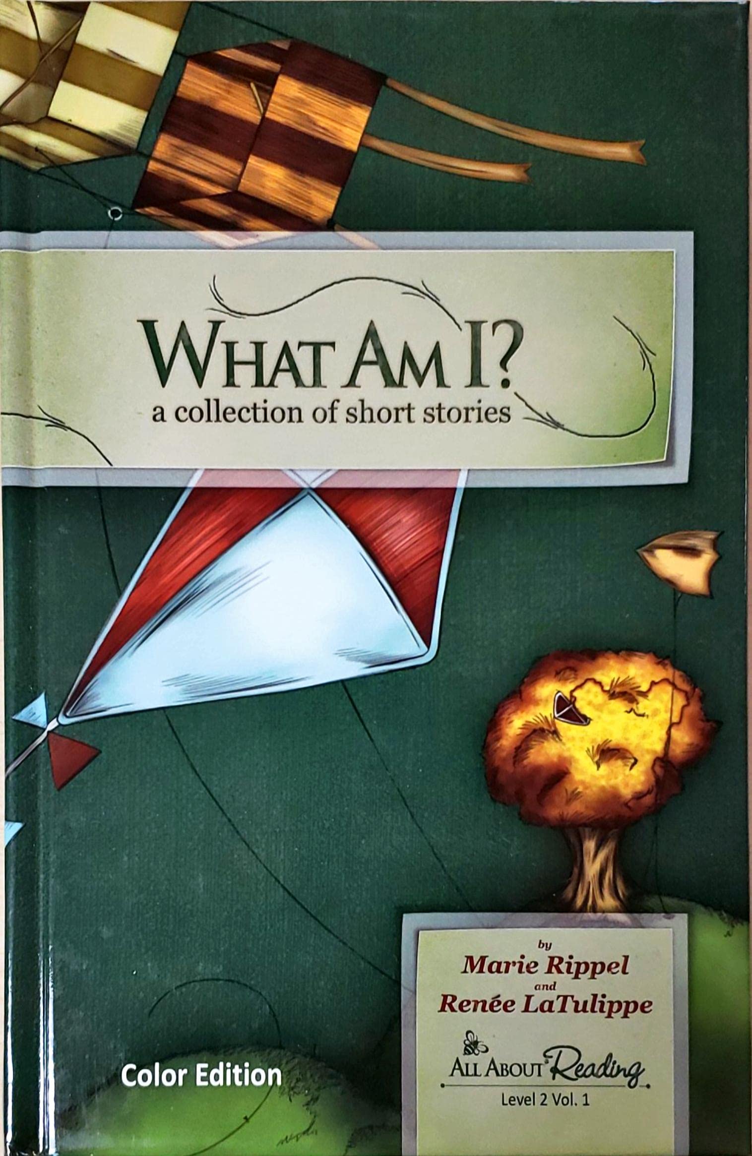 All About Reading, What Am I?, A collection of Short Stories, Level 2, Volume 1, Color Edition, c.2019, 9781935197751, 1935197754 used book depot