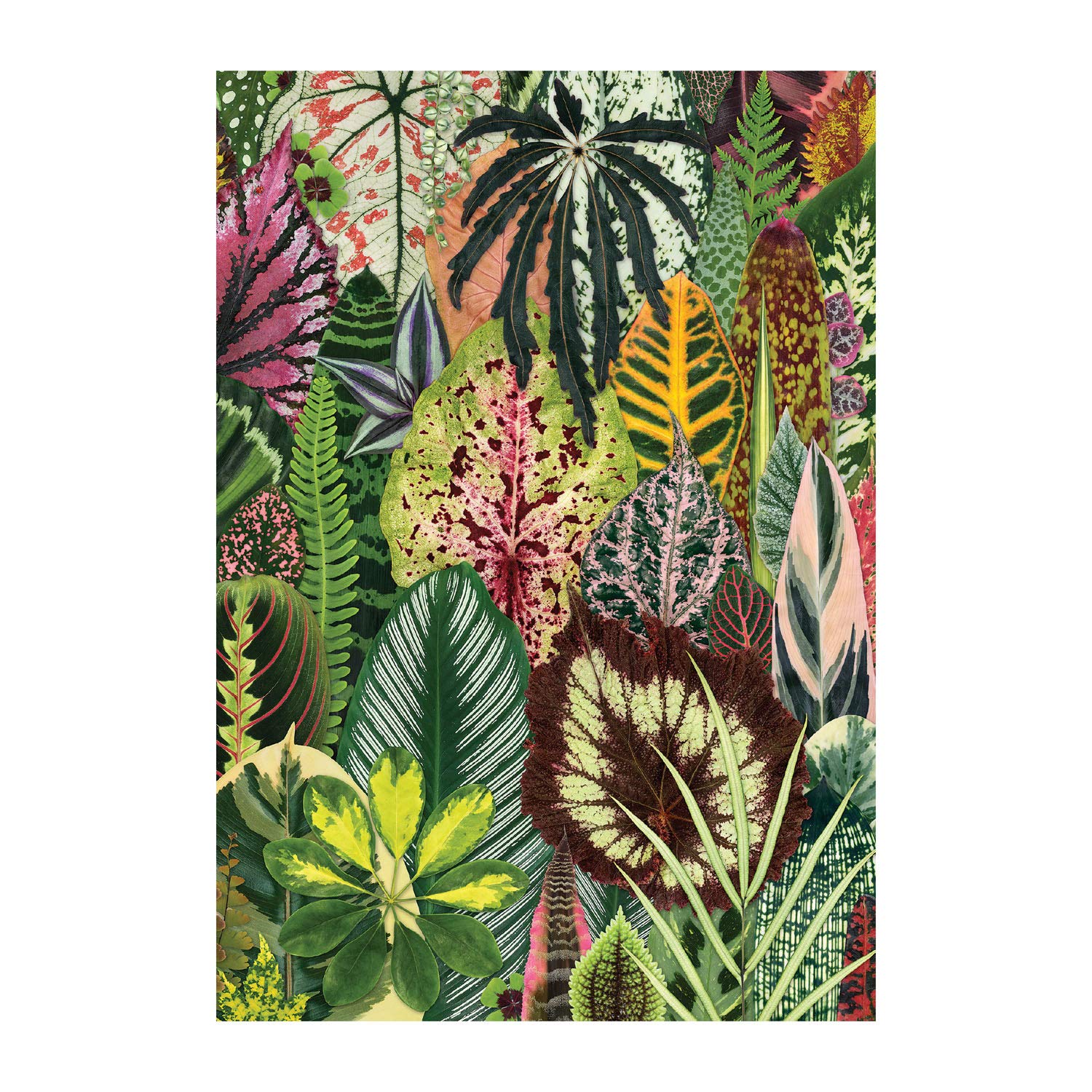 Houseplant Jungle A5 Journal used book depot