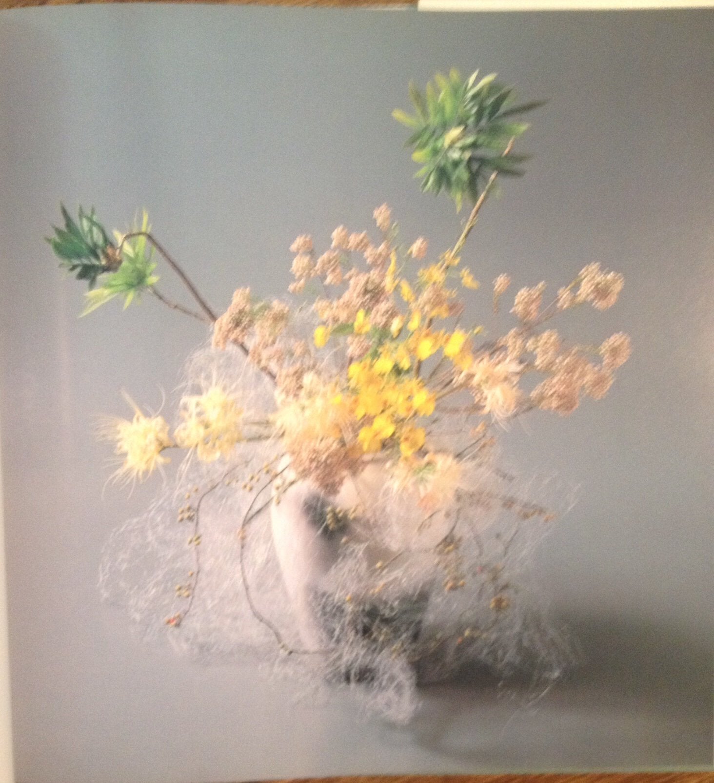 Ikebana Season to Season: 48 Stylish Arrangements used book depot