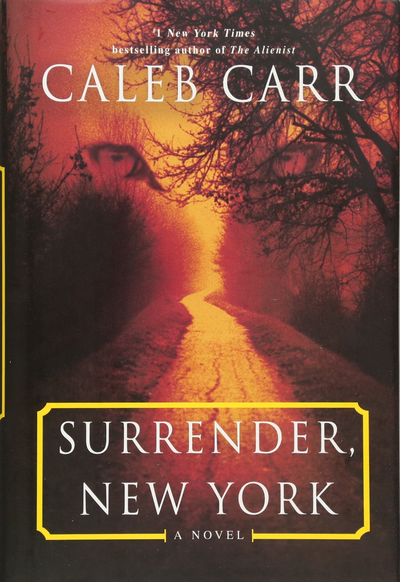 Surrender, New York: A Novel used book depot