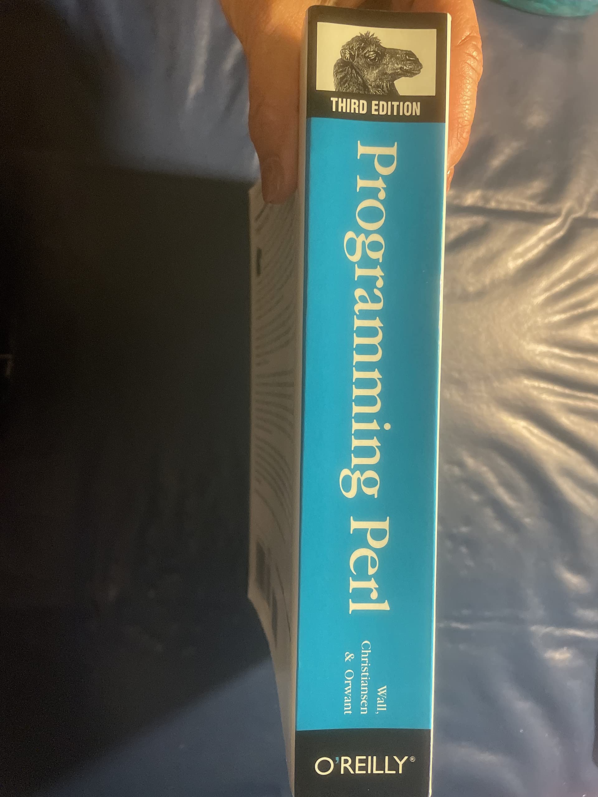 Programming Perl used book depot