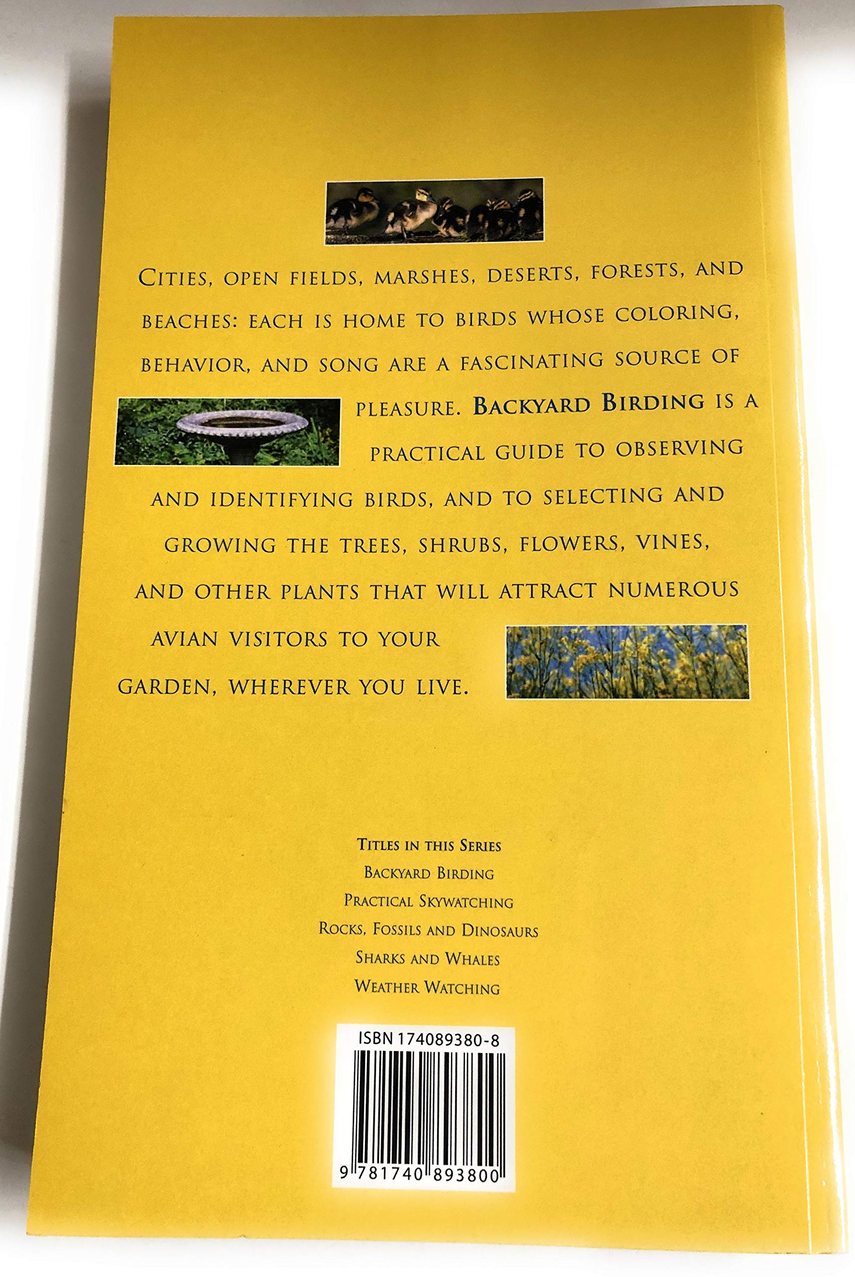The Nature Companions: Backyard Birding used book depot