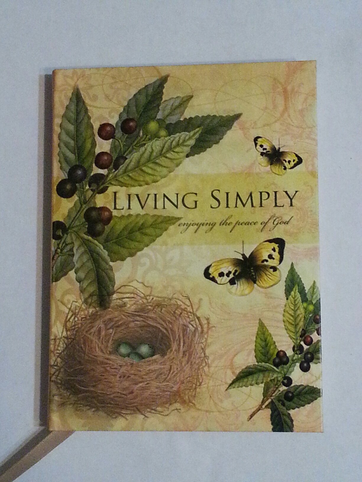 Living Simply Enjoying The Peace of God used book depot