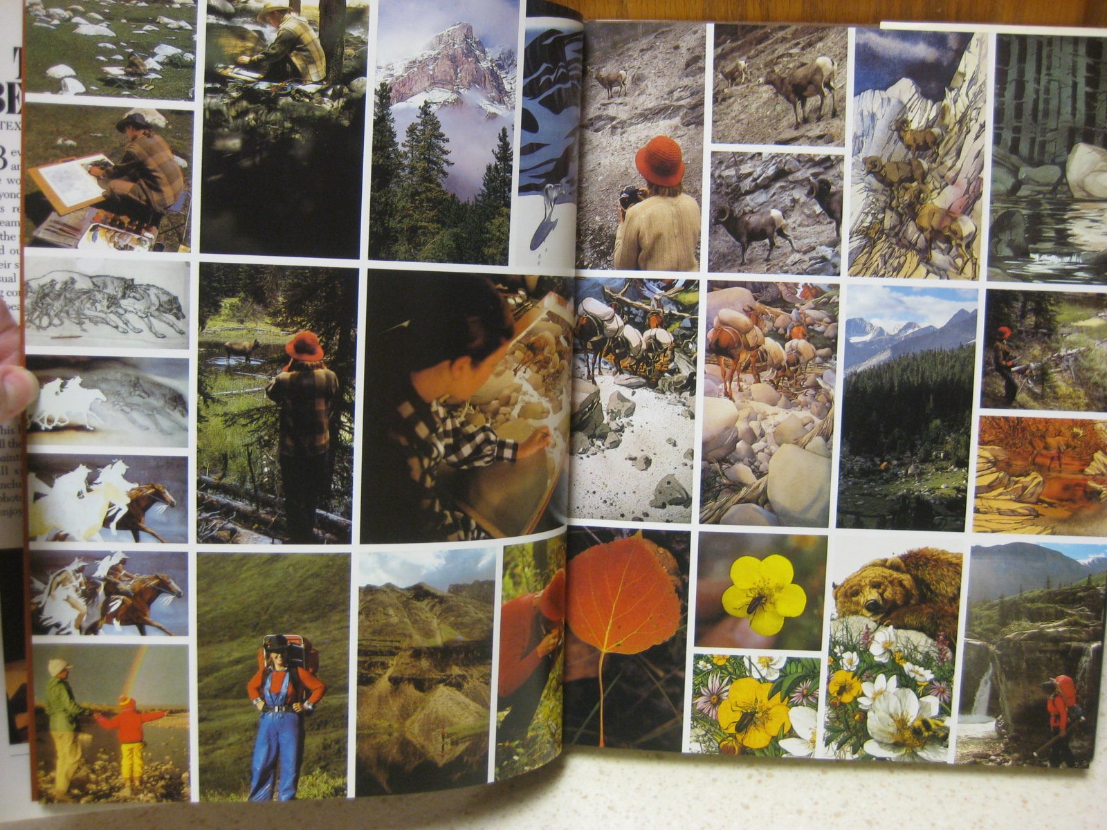 The Art of Bev Doolittle used book depot