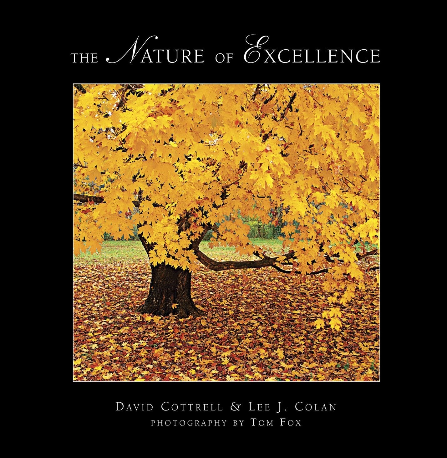 The Nature of Excellence Classic Edition used book depot