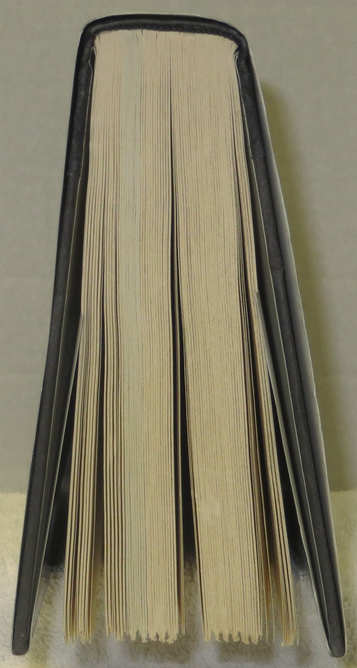 The Scions of Shannara (The Heritage of Shannara #1) used book depot