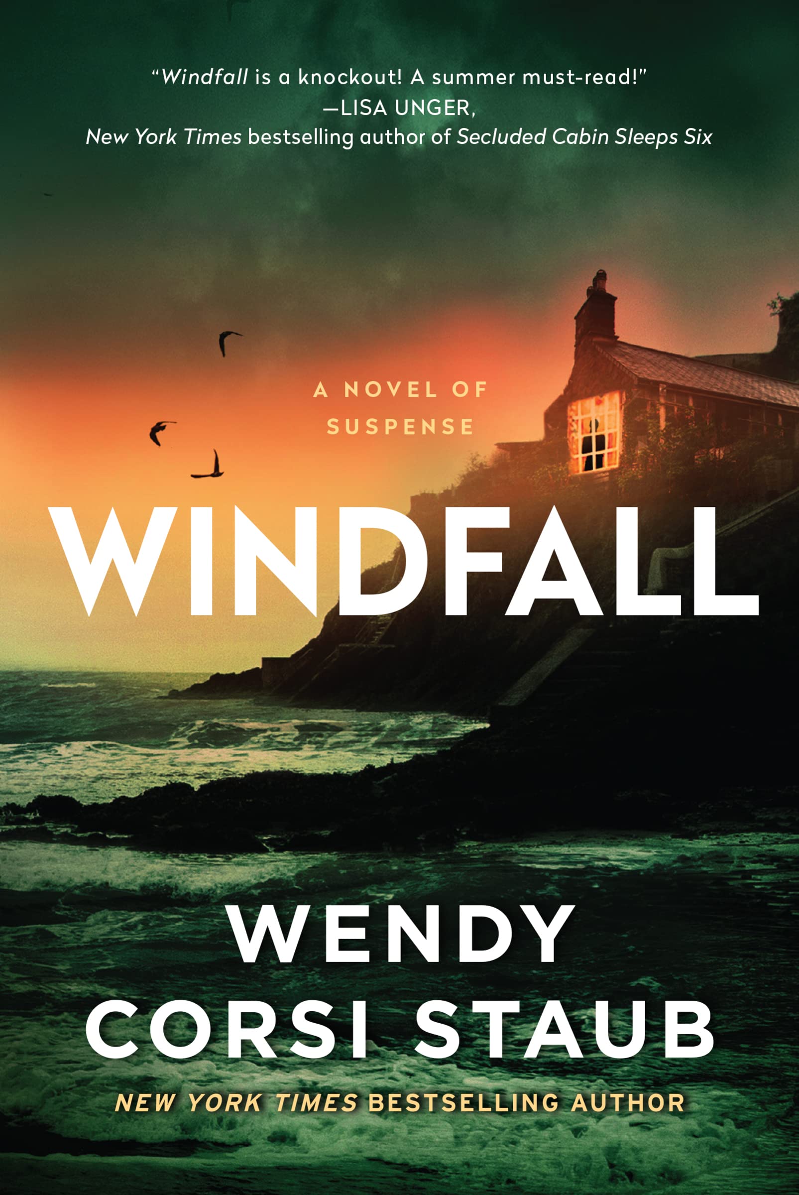 Windfall: A Novel of Suspense used book depot