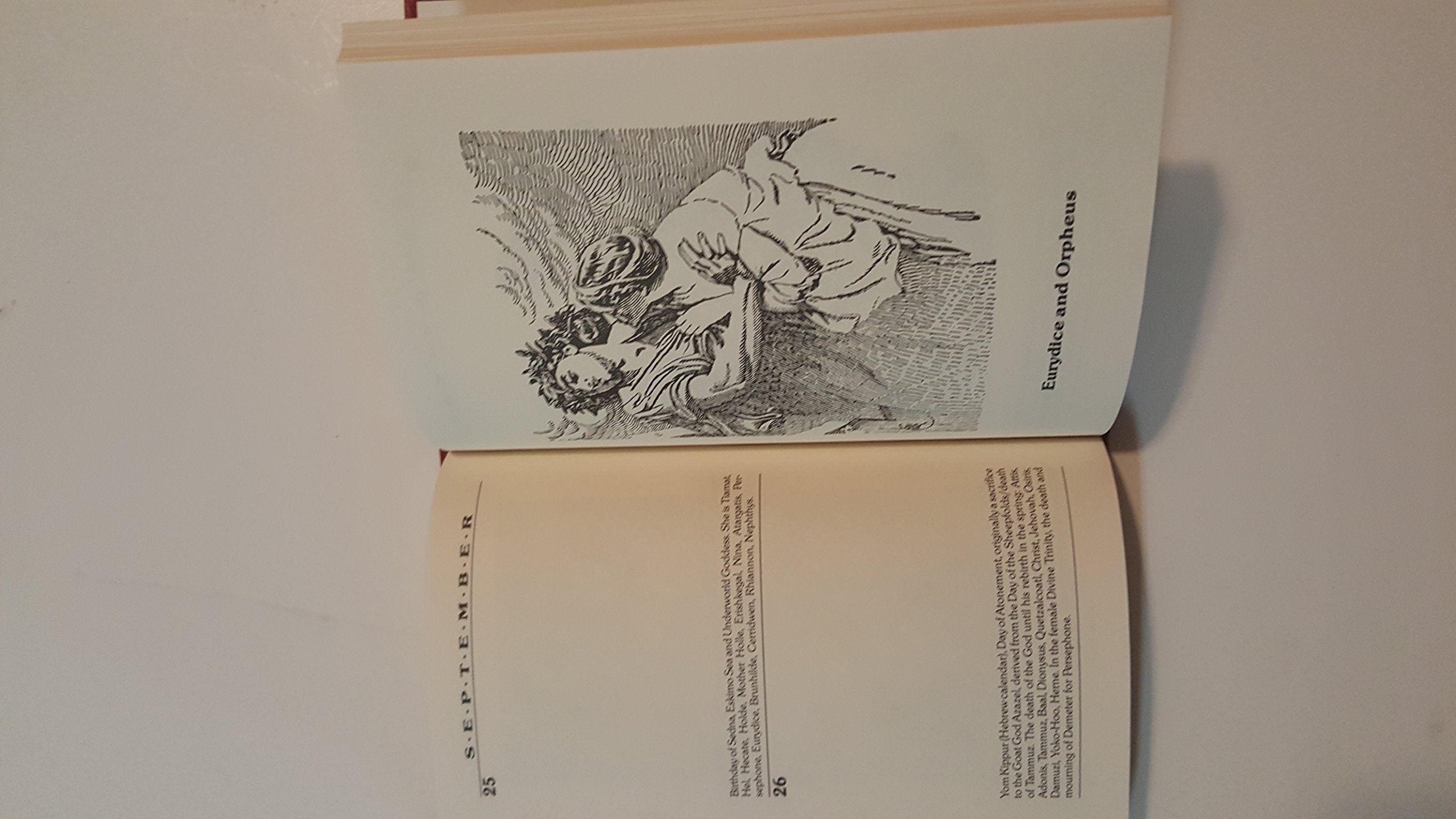 The Goddess Book of Days: A Perpetual 366 Day Engagement Calendar used book depot
