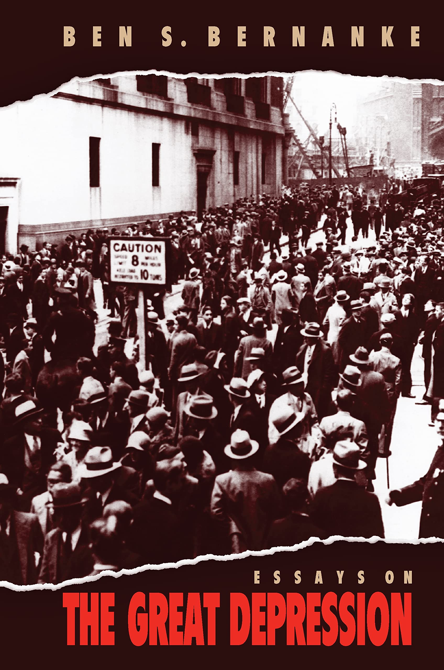 Essays on the Great Depression used book depot