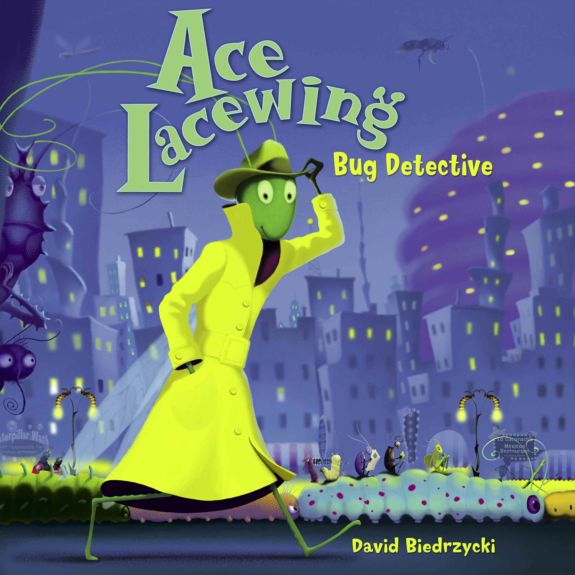 Ace Lacewing: Bug Detective used book depot