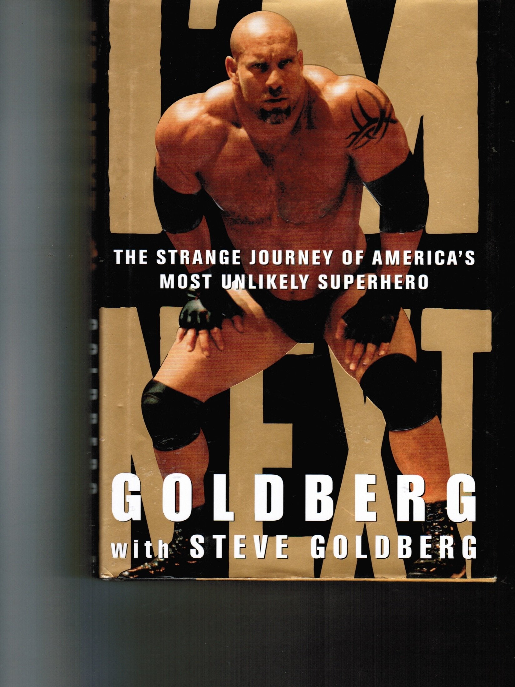 I'm Next: The Strange Journey of America's Most Unlikely Superhero used book depot