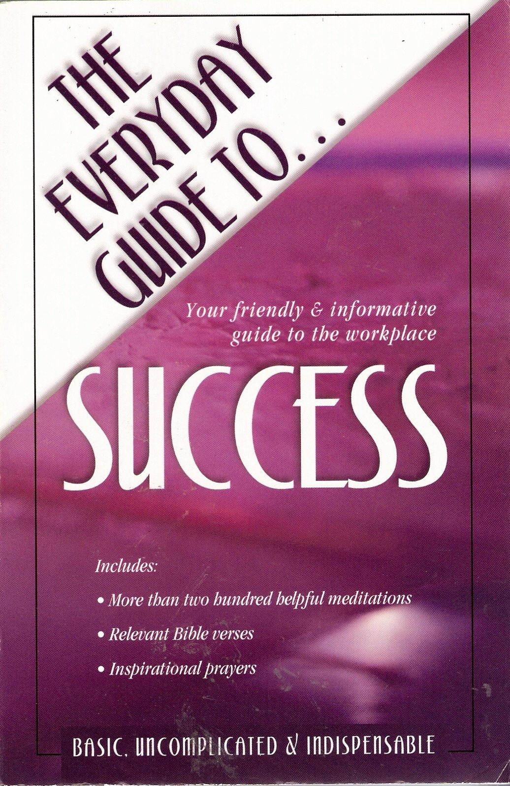 The Everyday Guide To Success: Your Friendly & Informative Guide to the Workplace used book depot